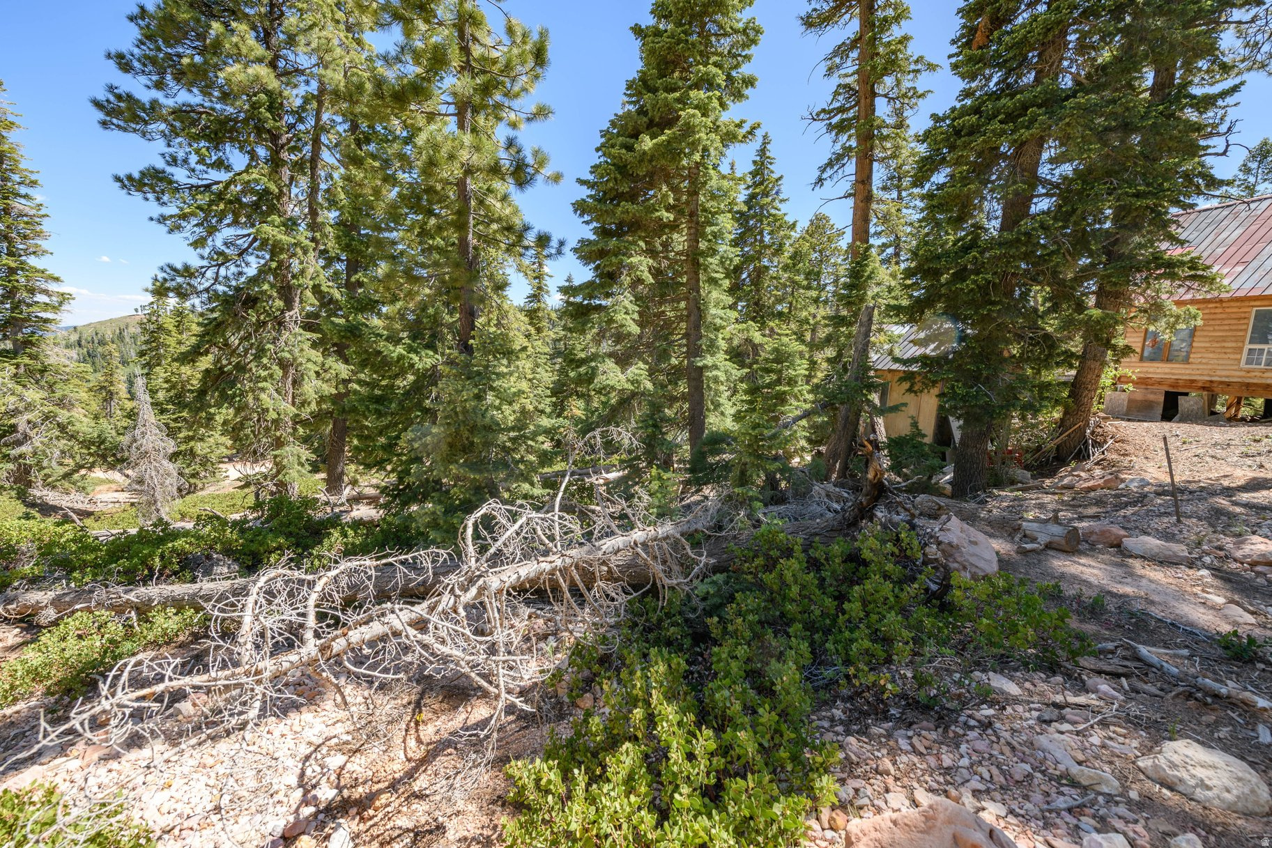 main property photo 22