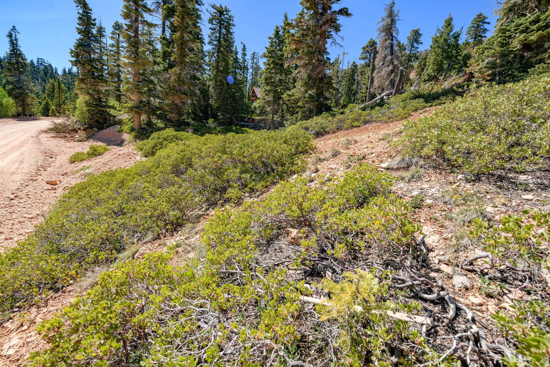 main property photo 32