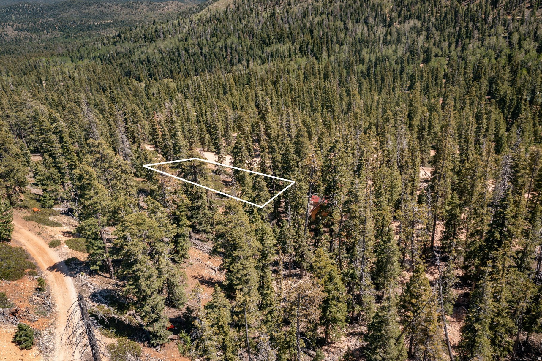 main property photo 42