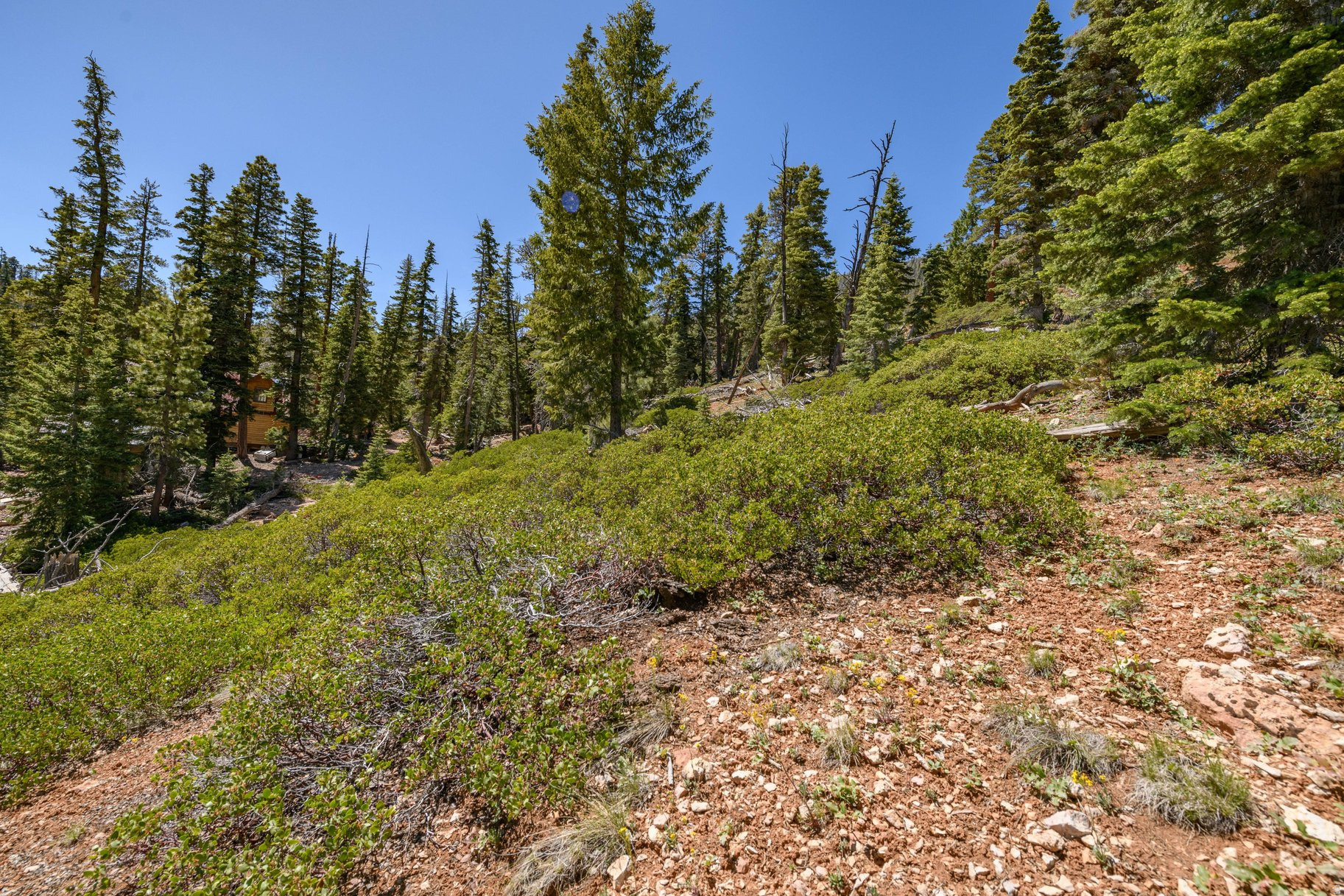 main property photo 48