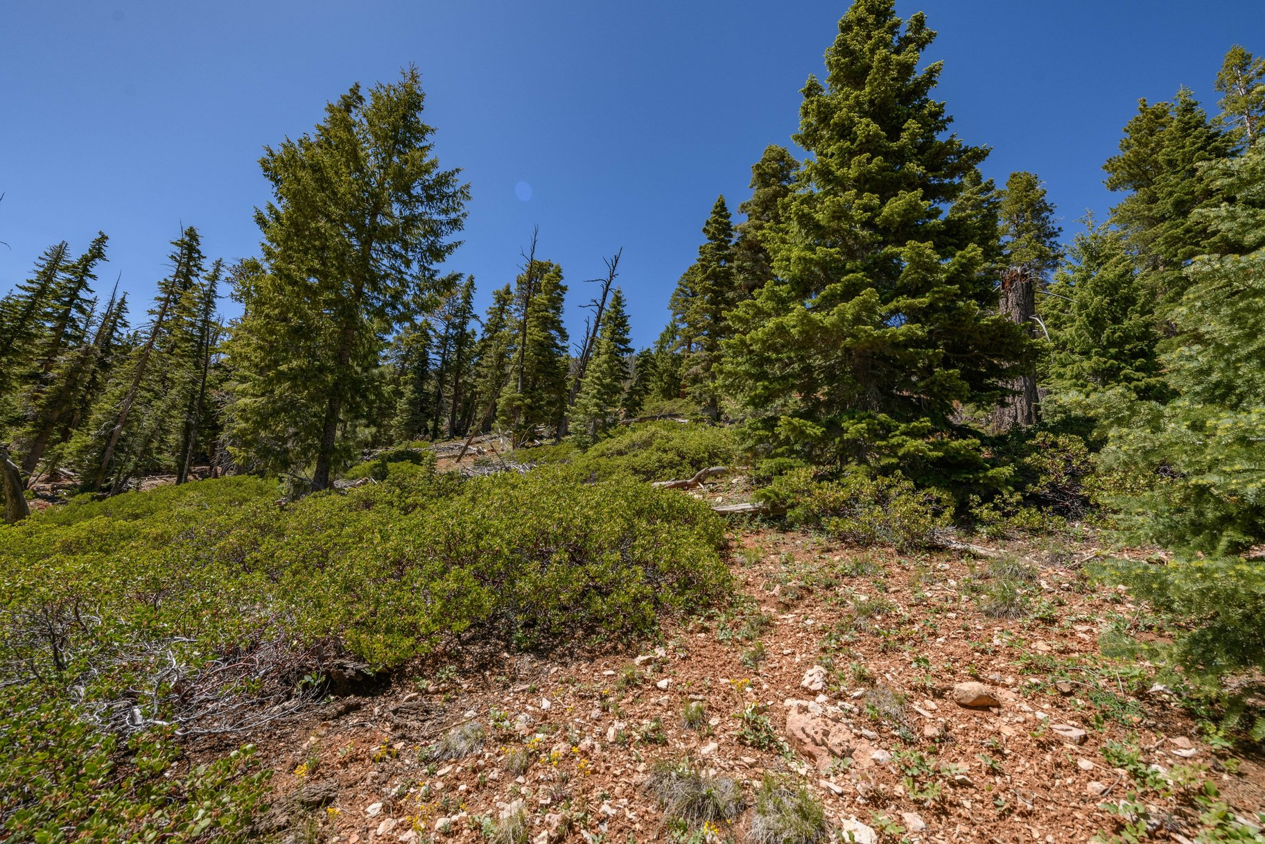 main property photo 49