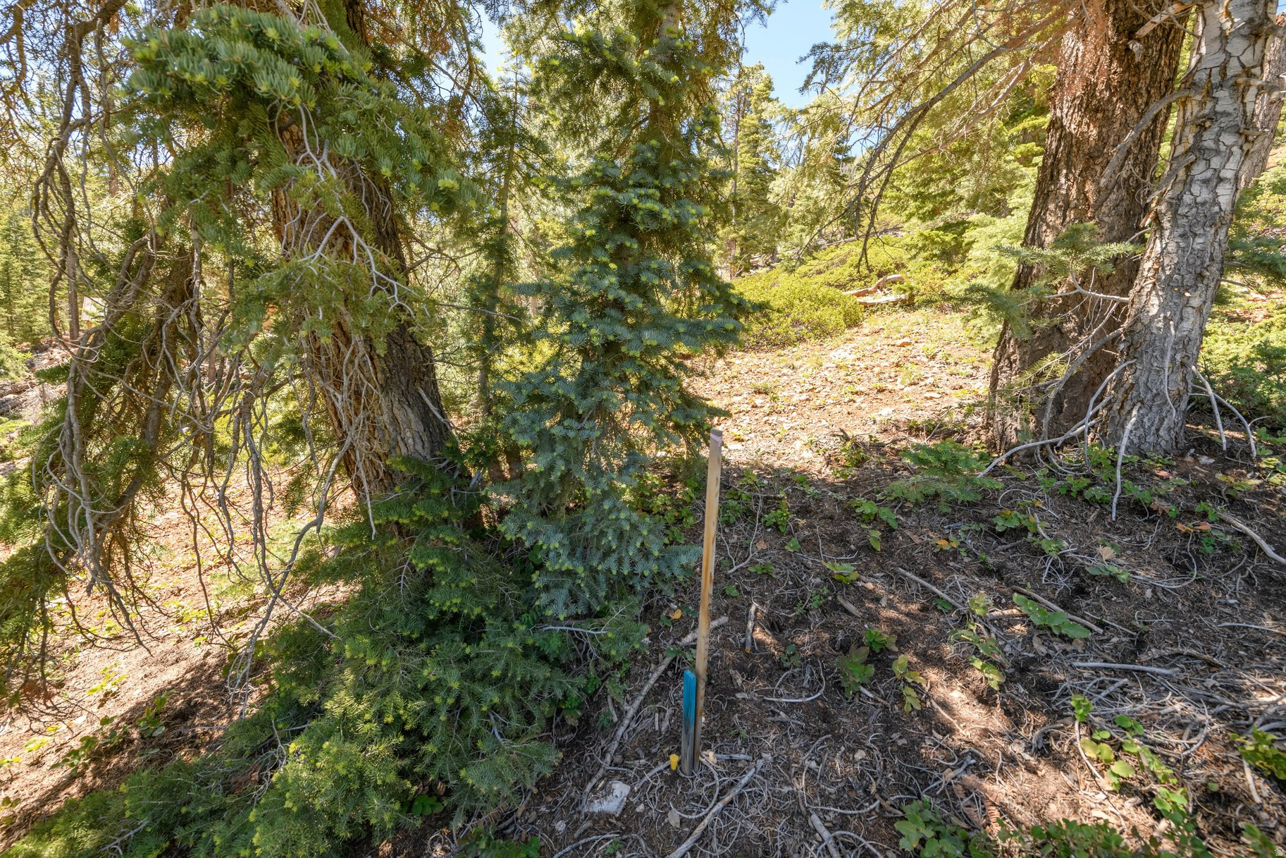 main property photo 50