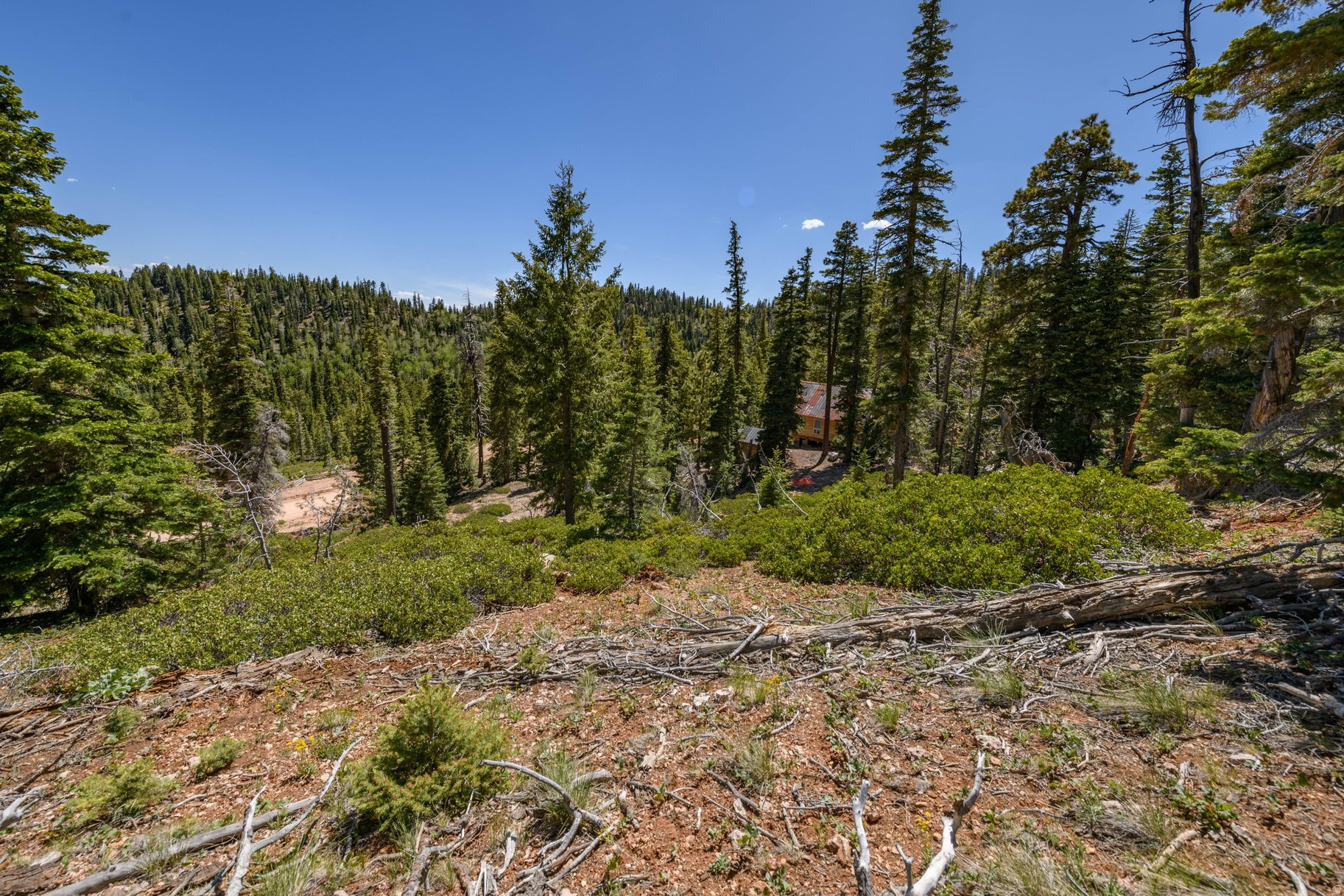 main property photo 51
