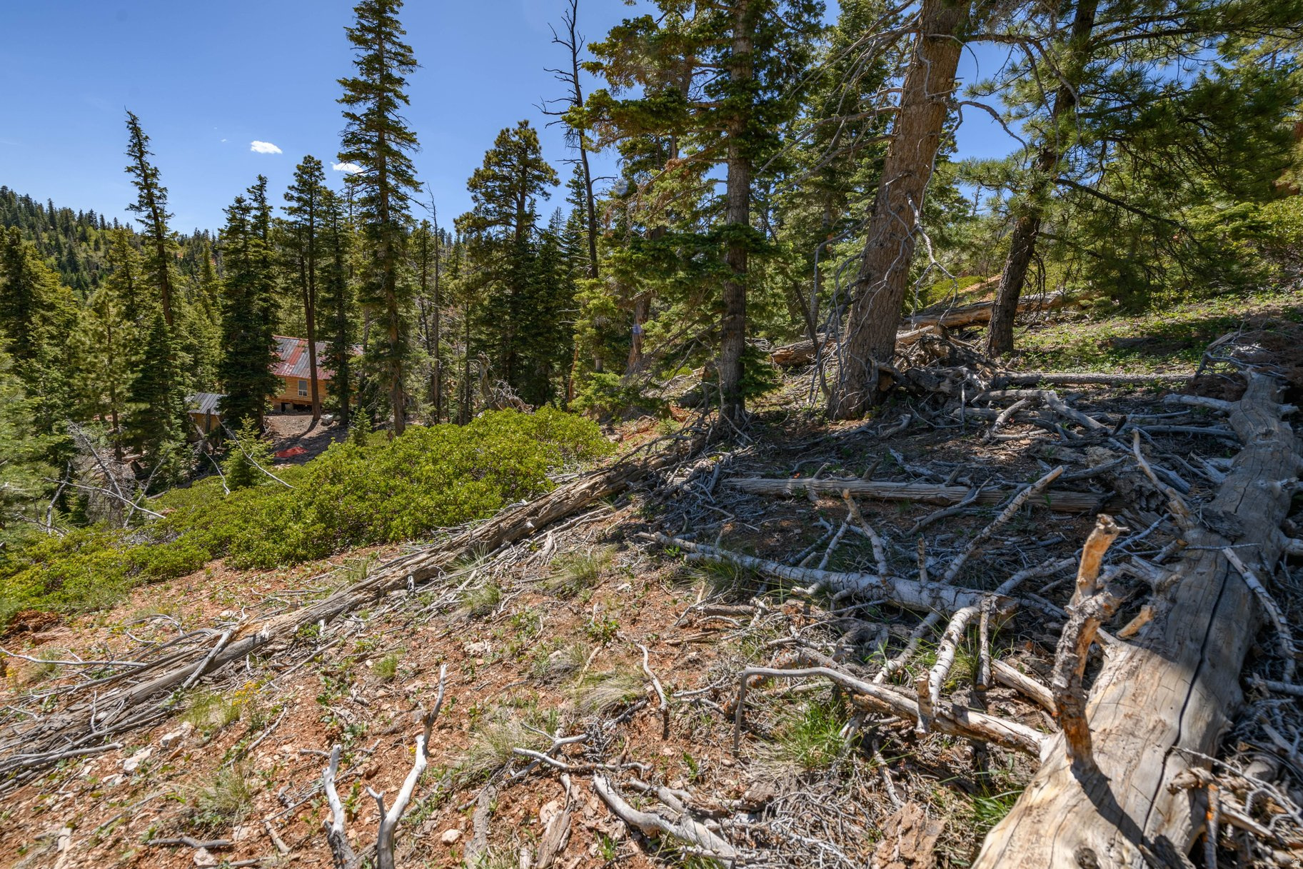 main property photo 52