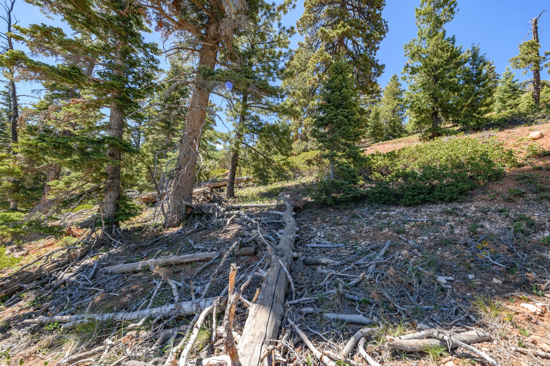main property photo 53