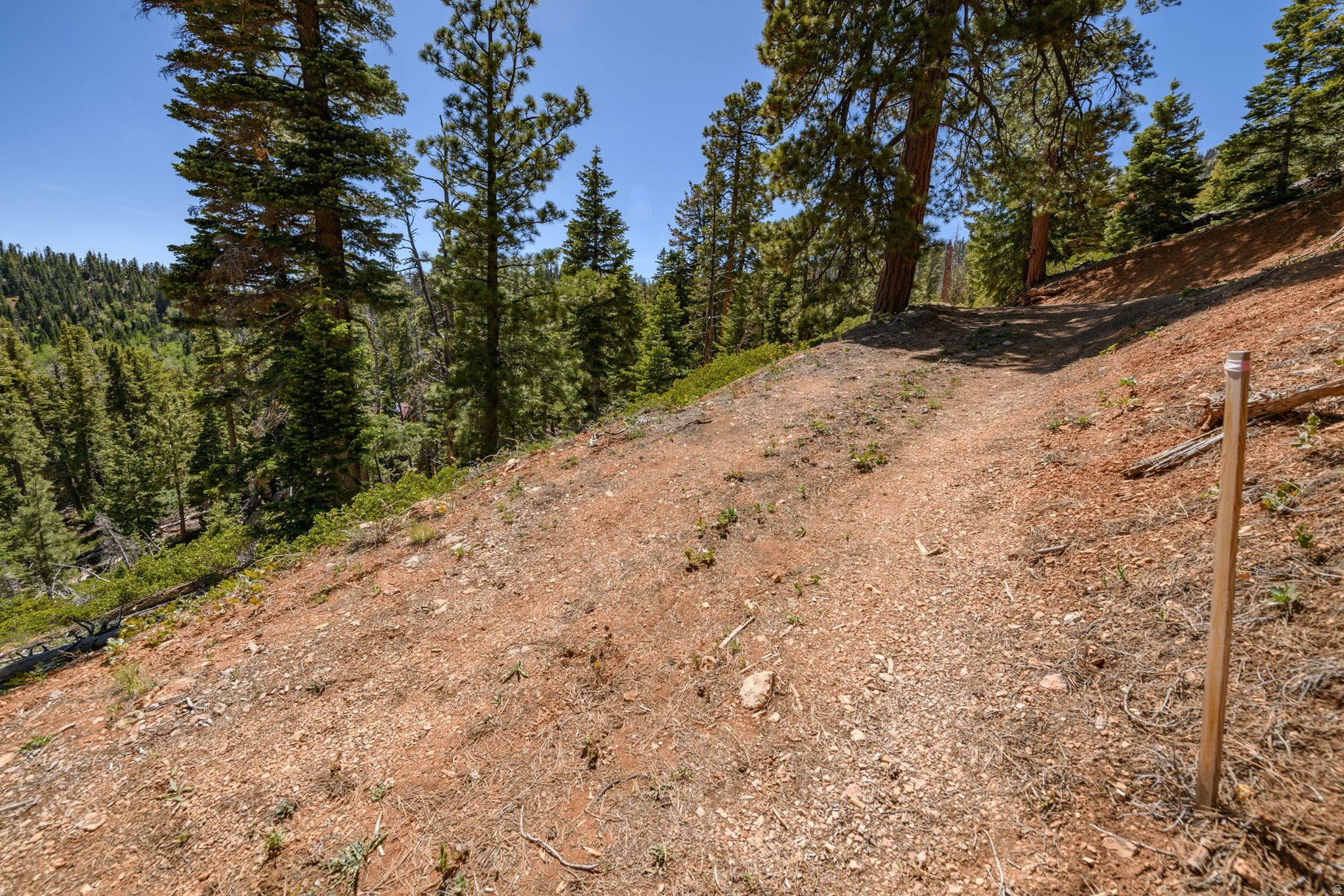 main property photo 54
