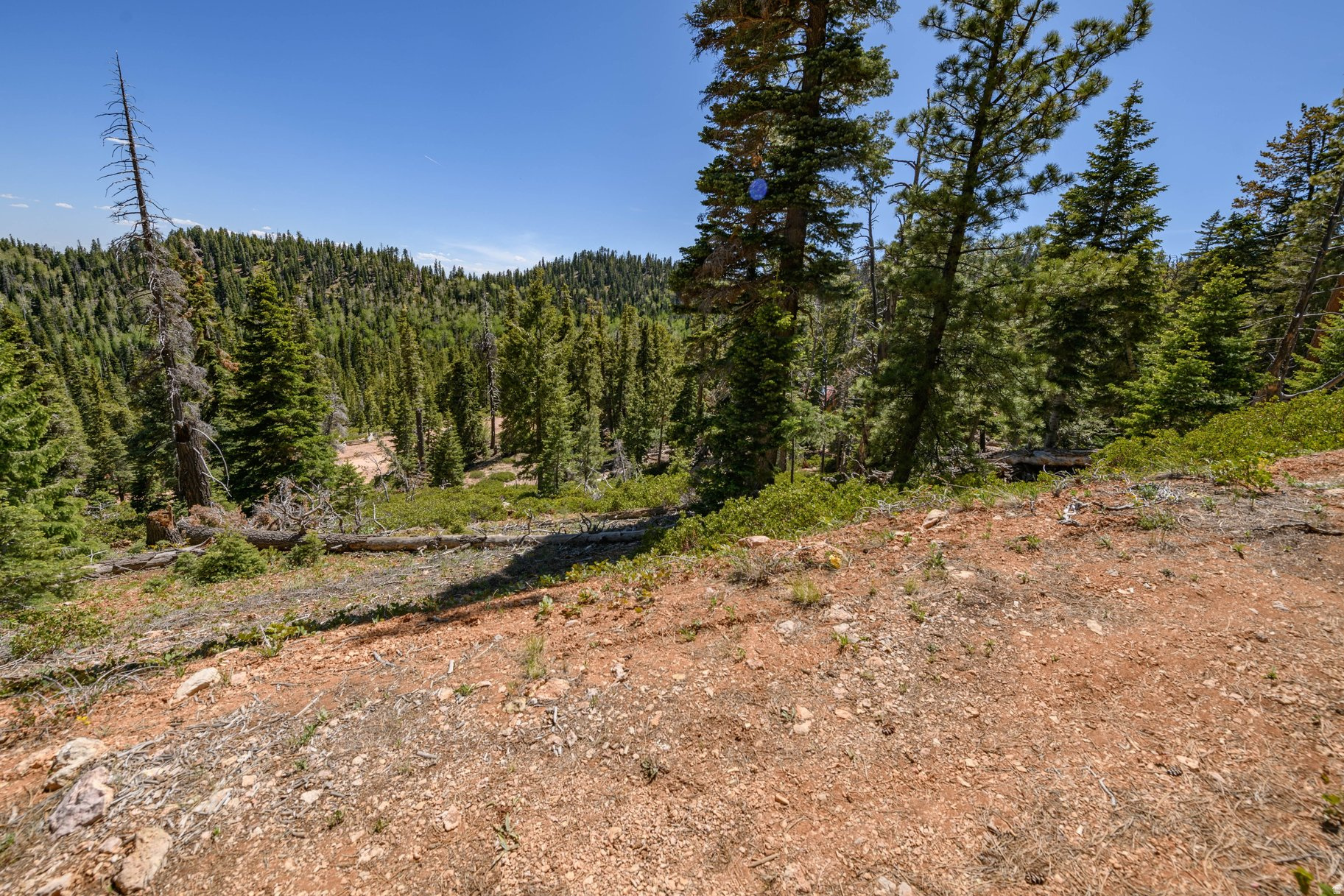 main property photo 56