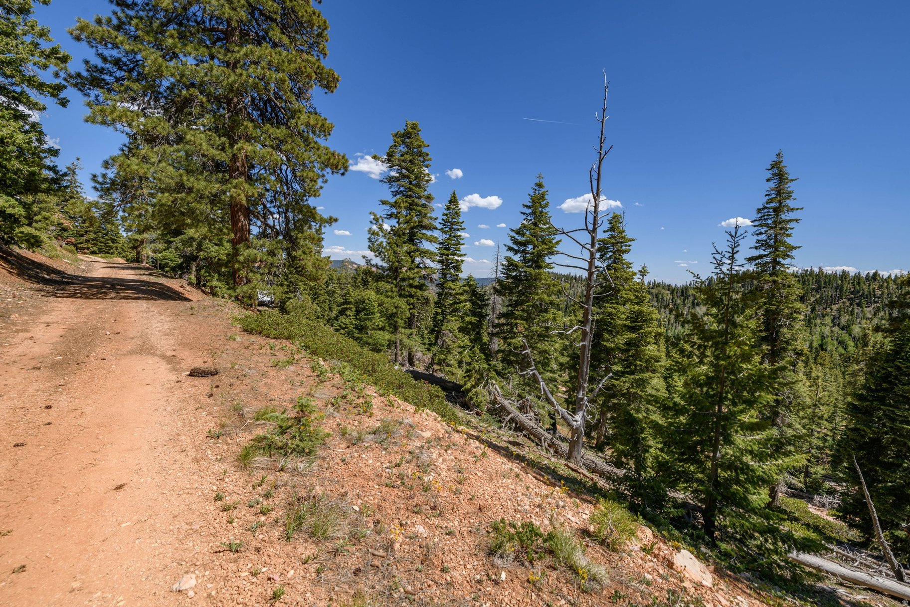 main property photo 57