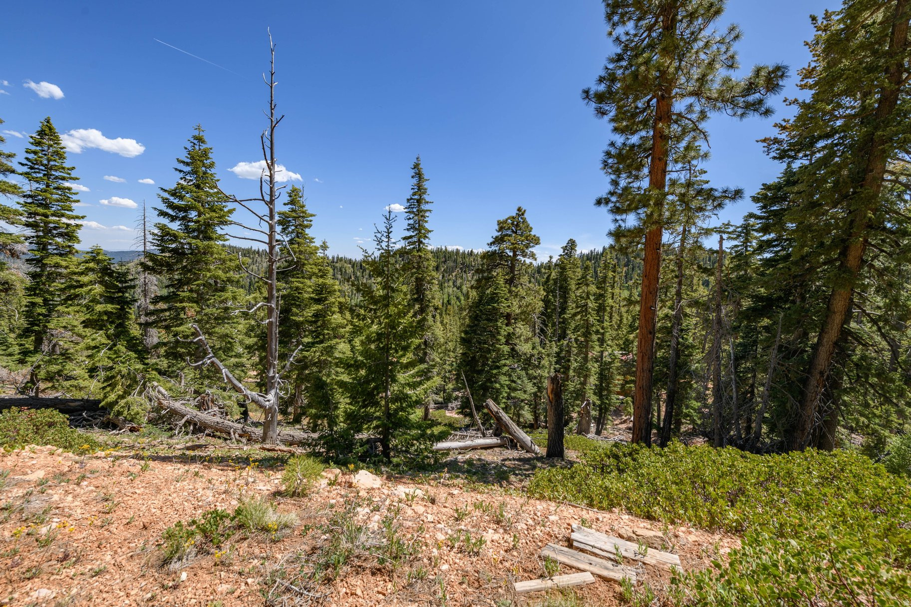 main property photo 58