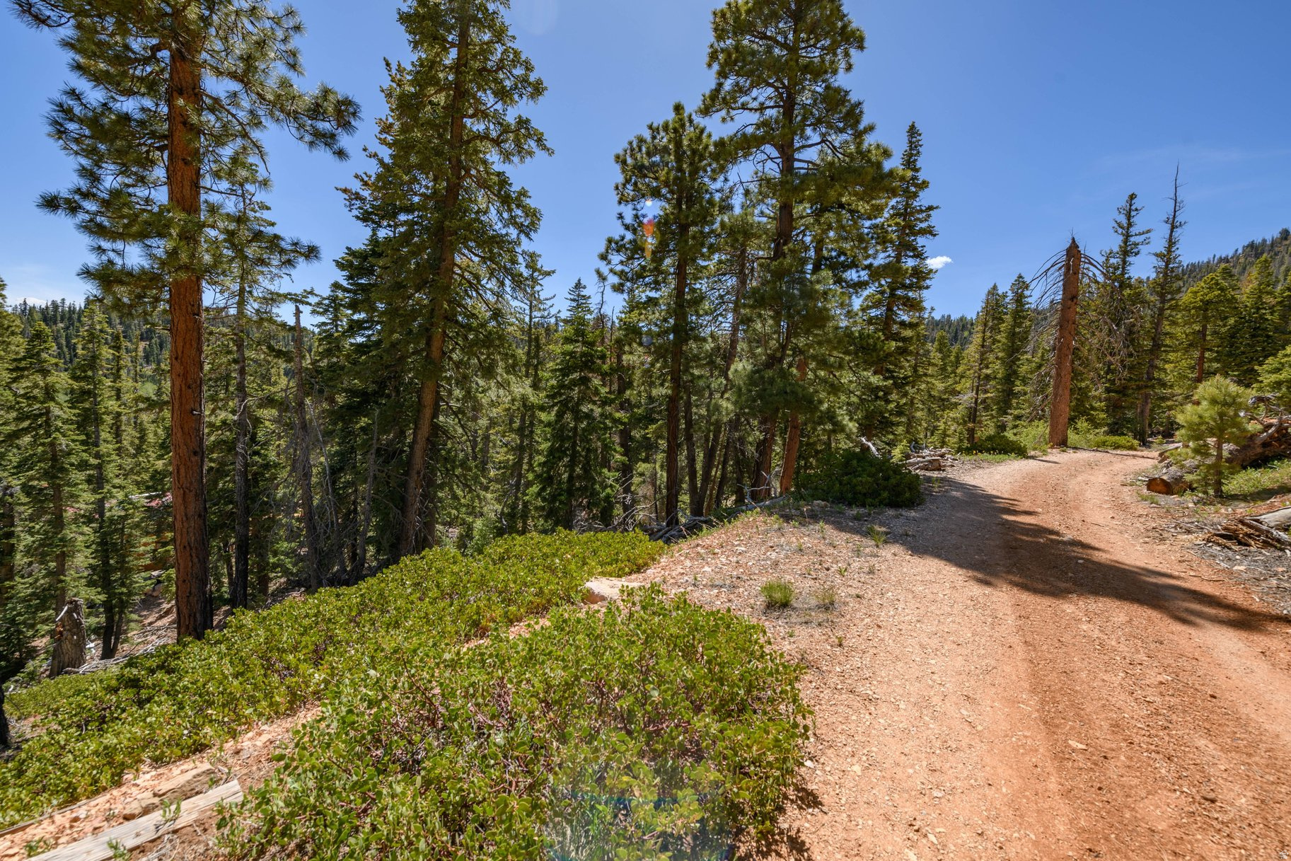 main property photo 59
