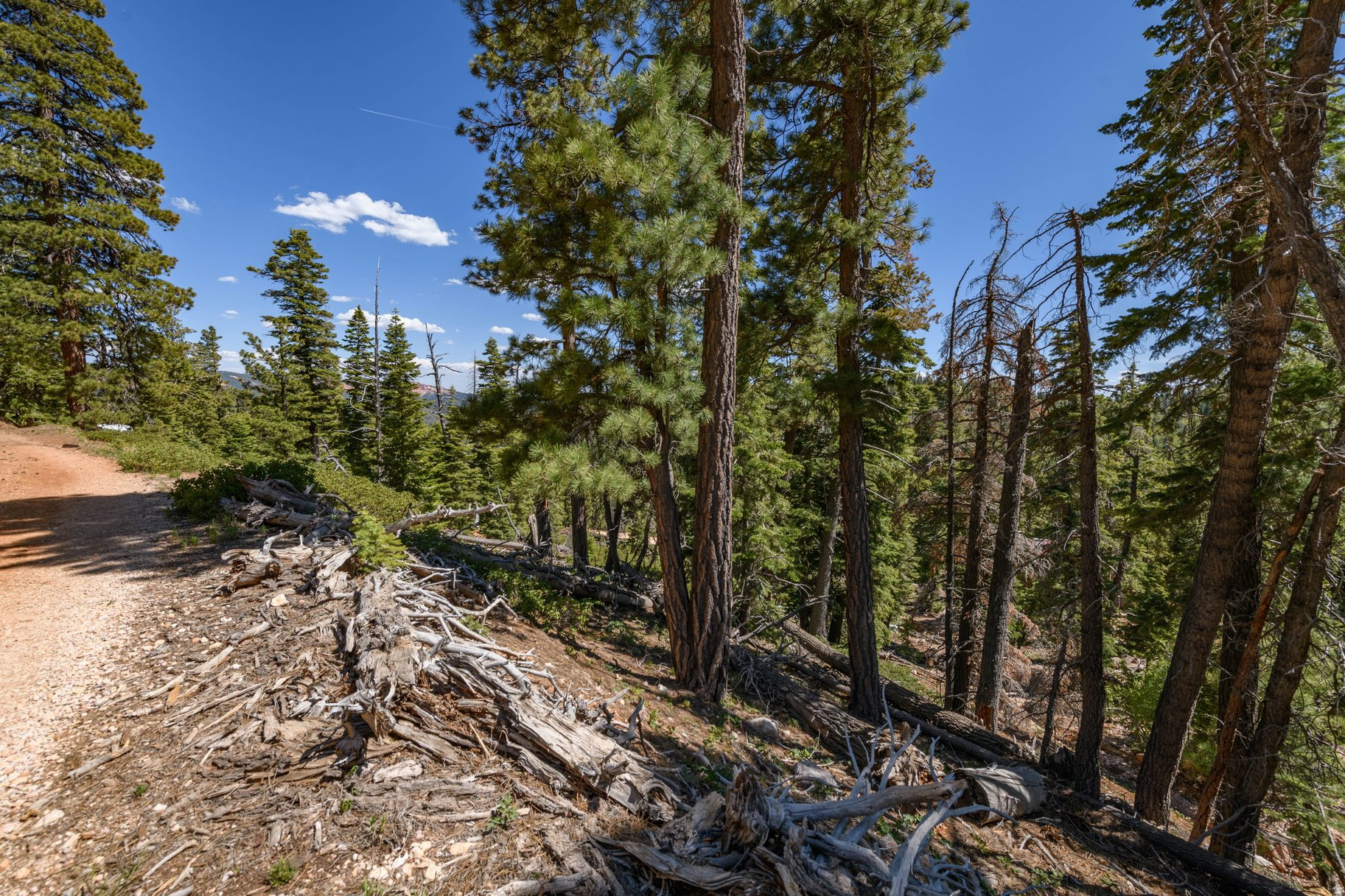 main property photo 60