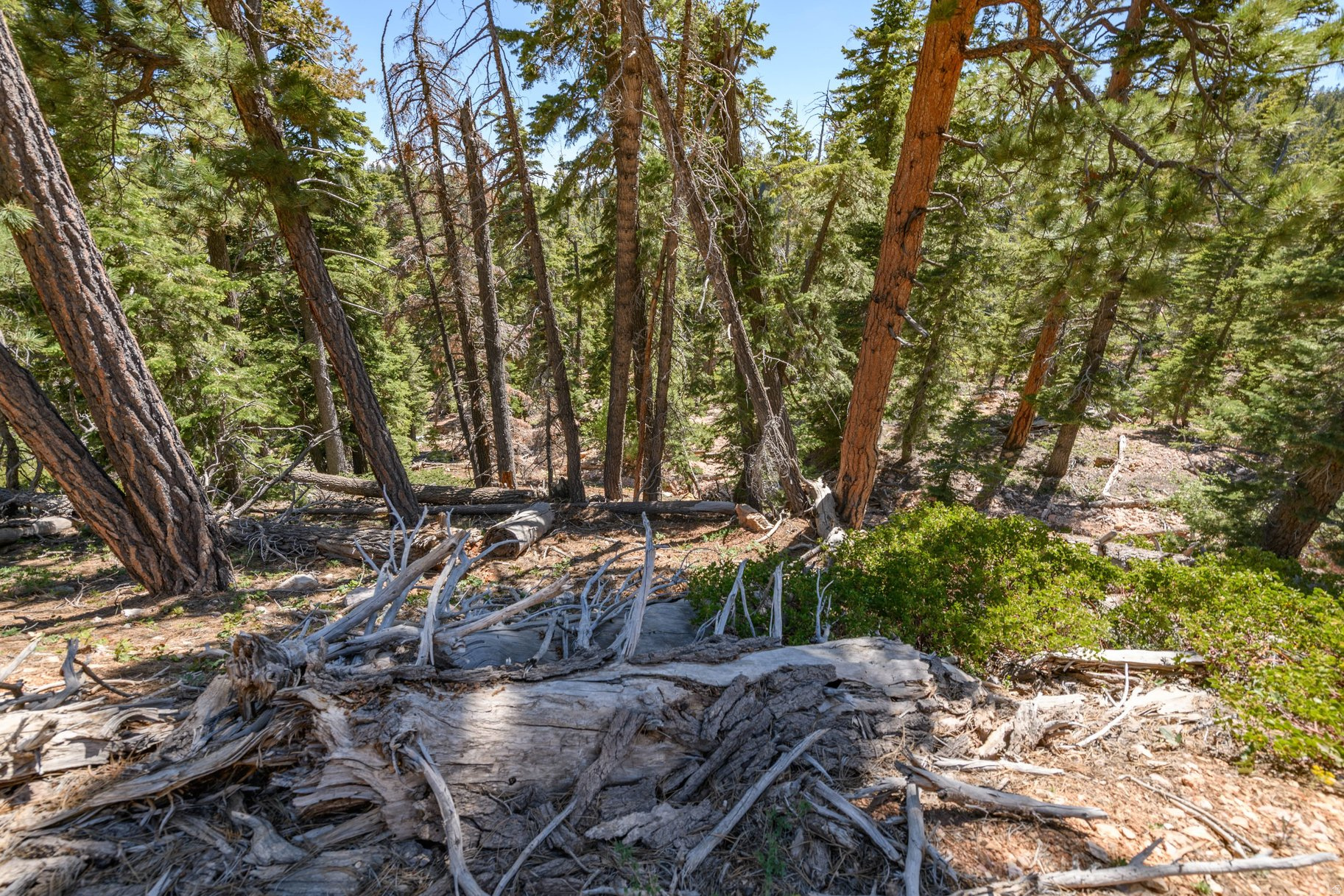main property photo 61