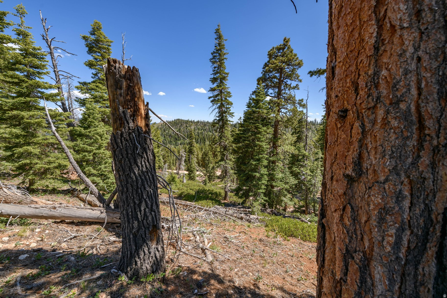 main property photo 62