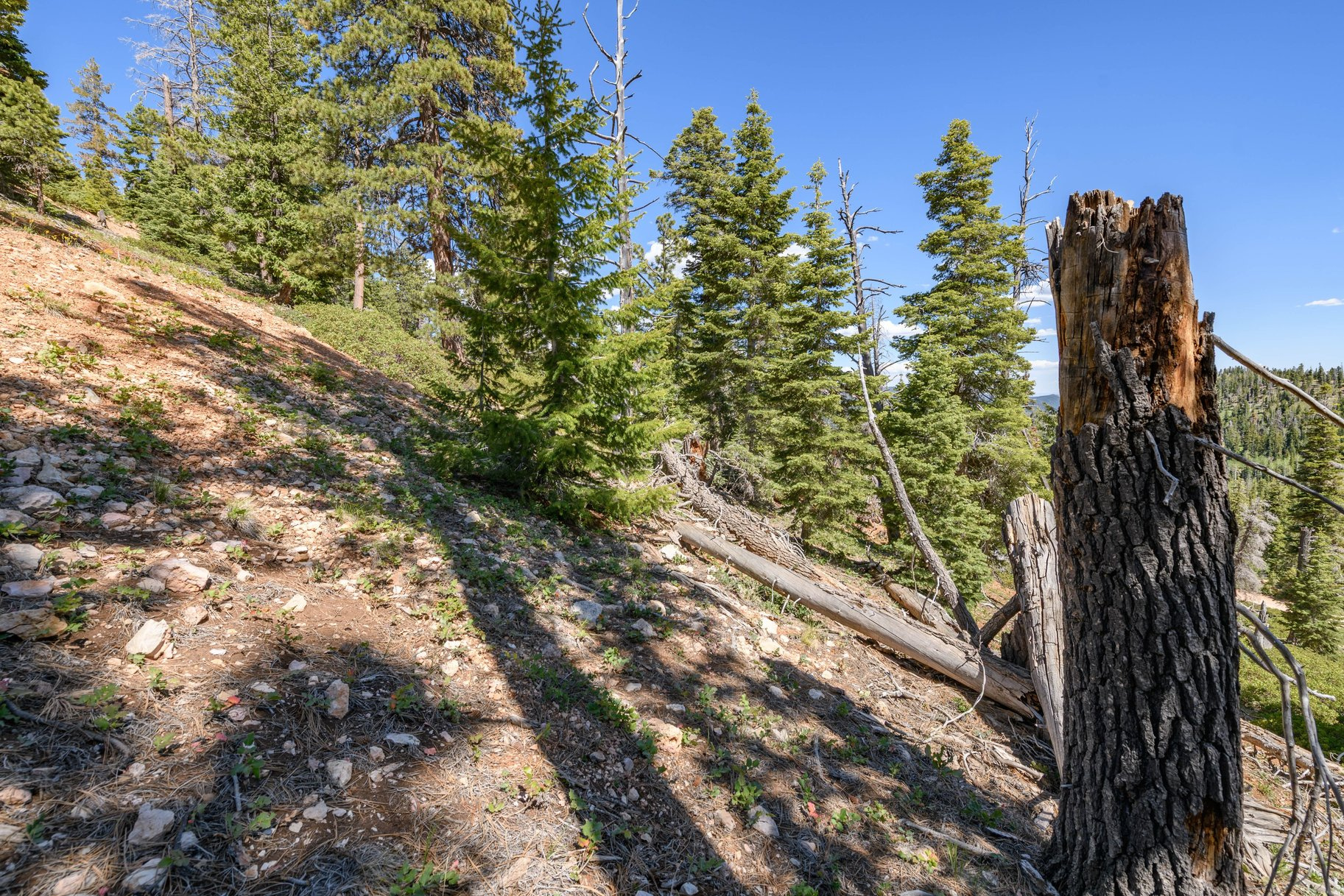 main property photo 63