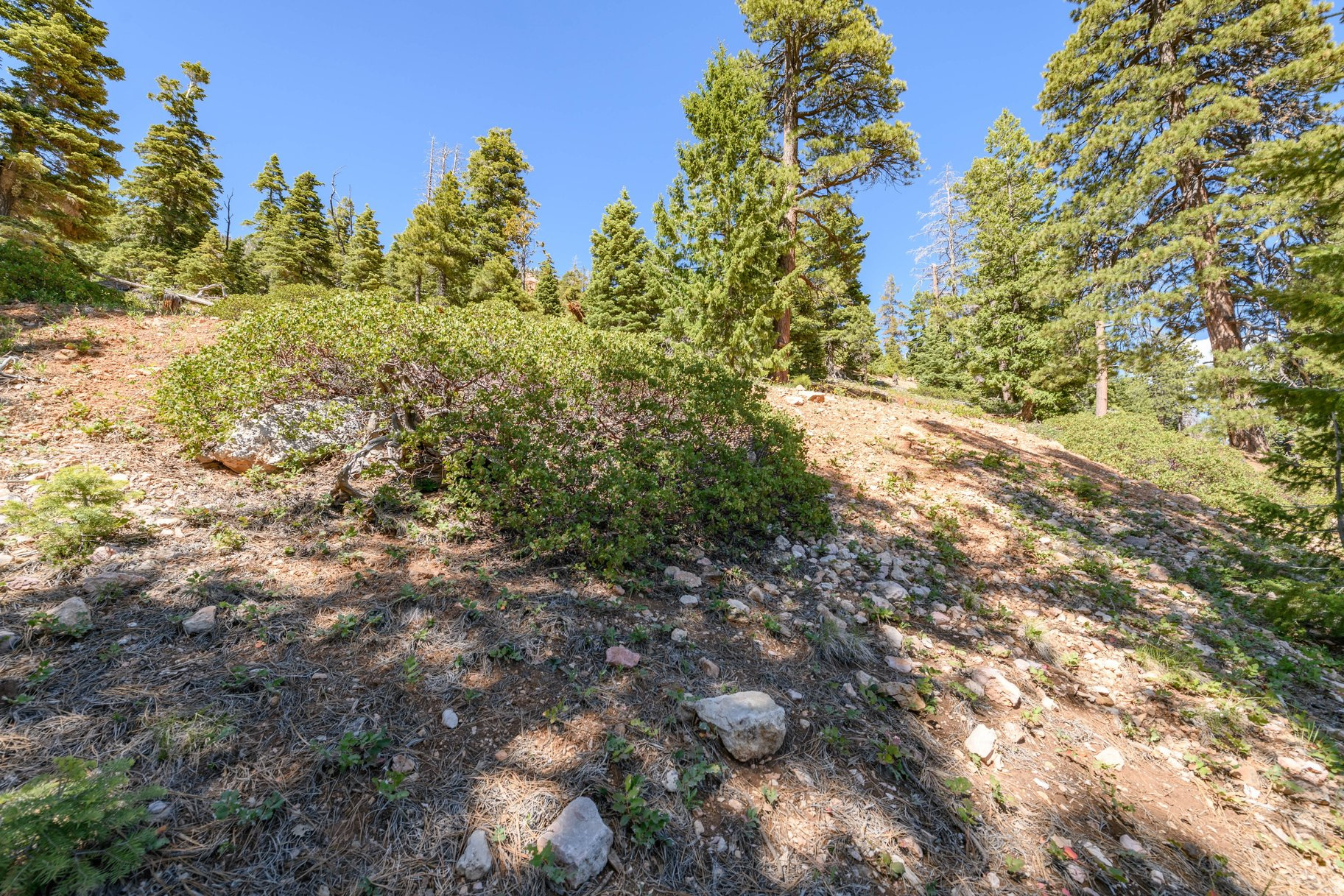 main property photo 64