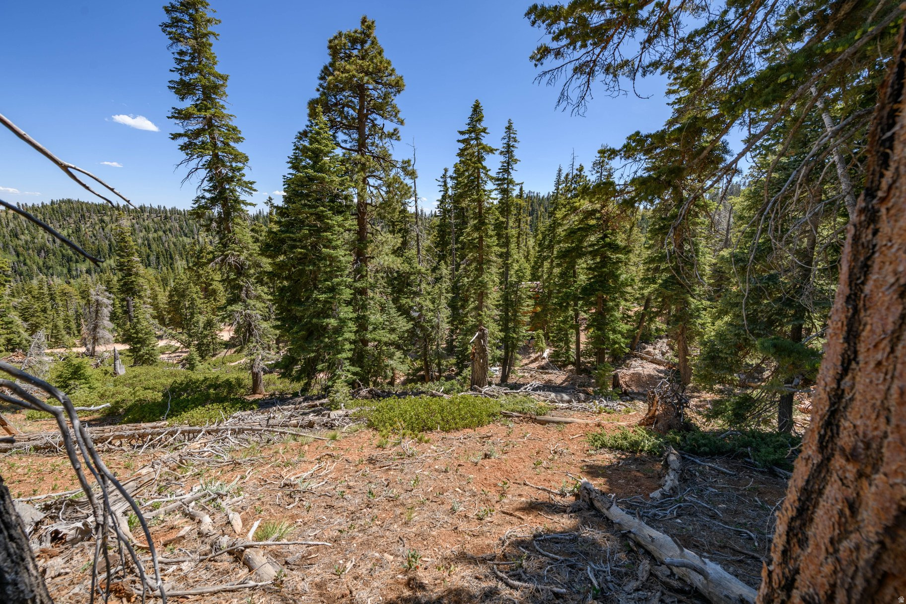 main property photo 65