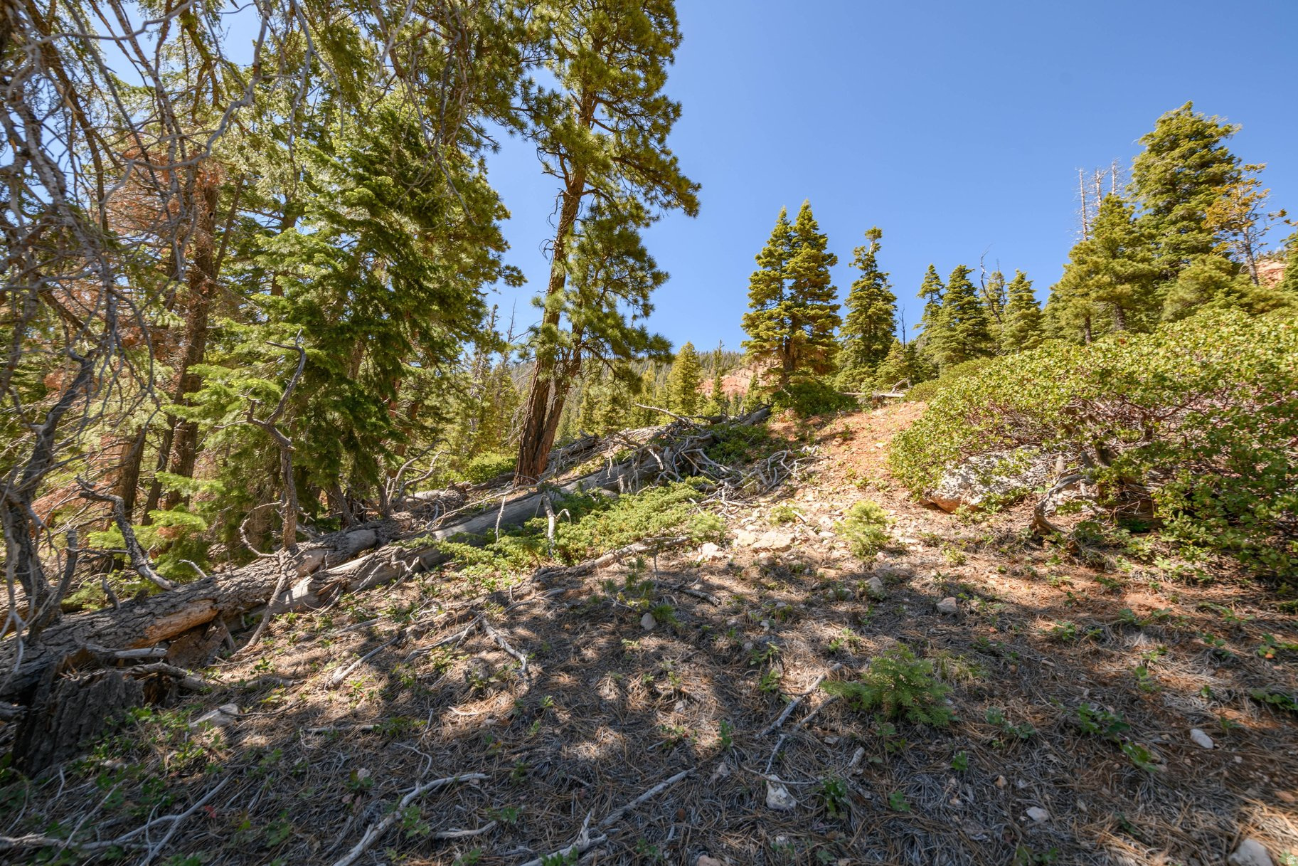 main property photo 66