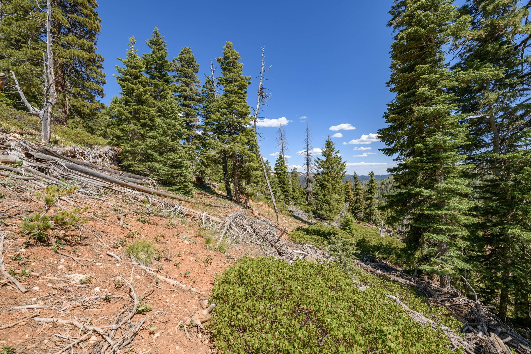 main property photo 68