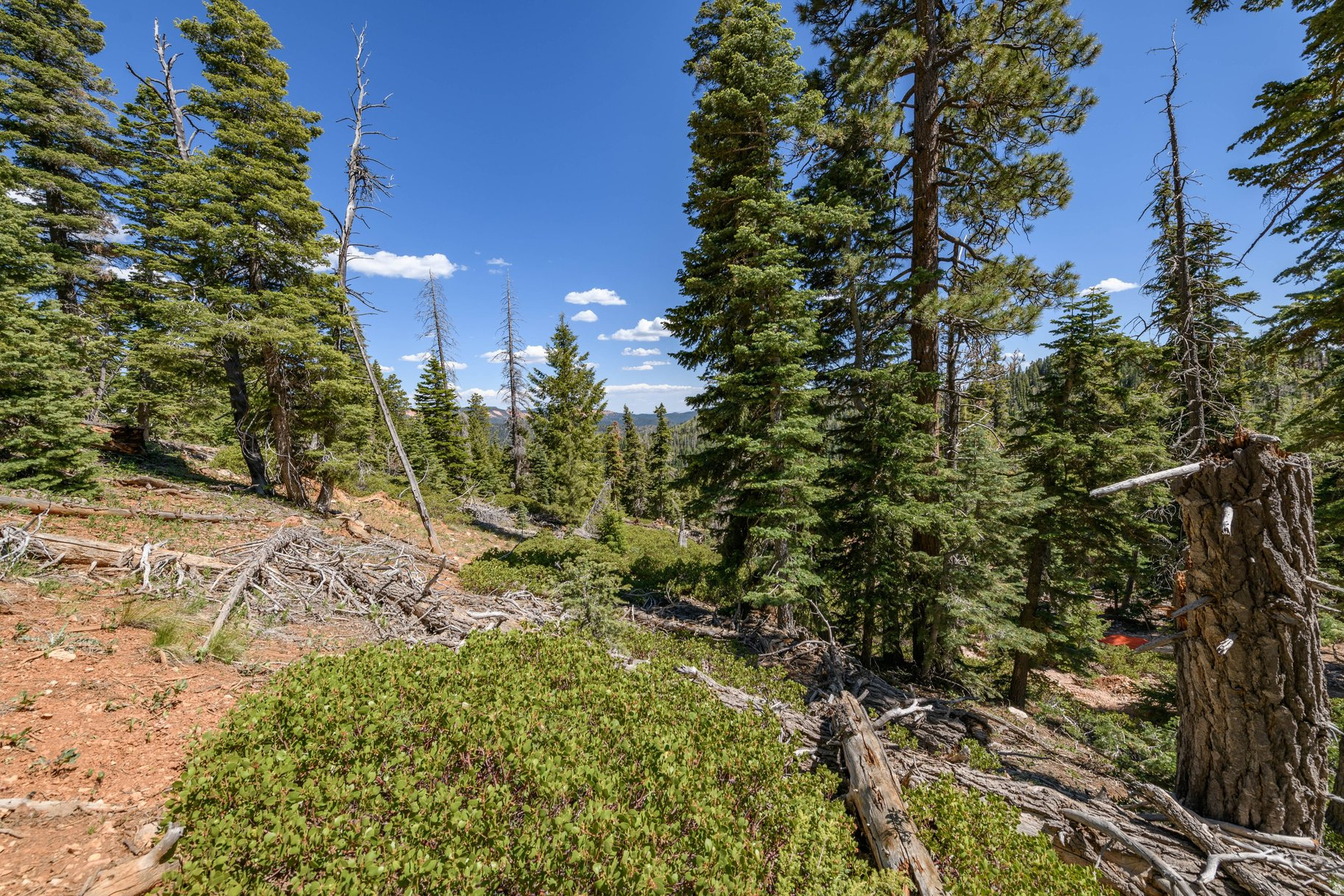 main property photo 69