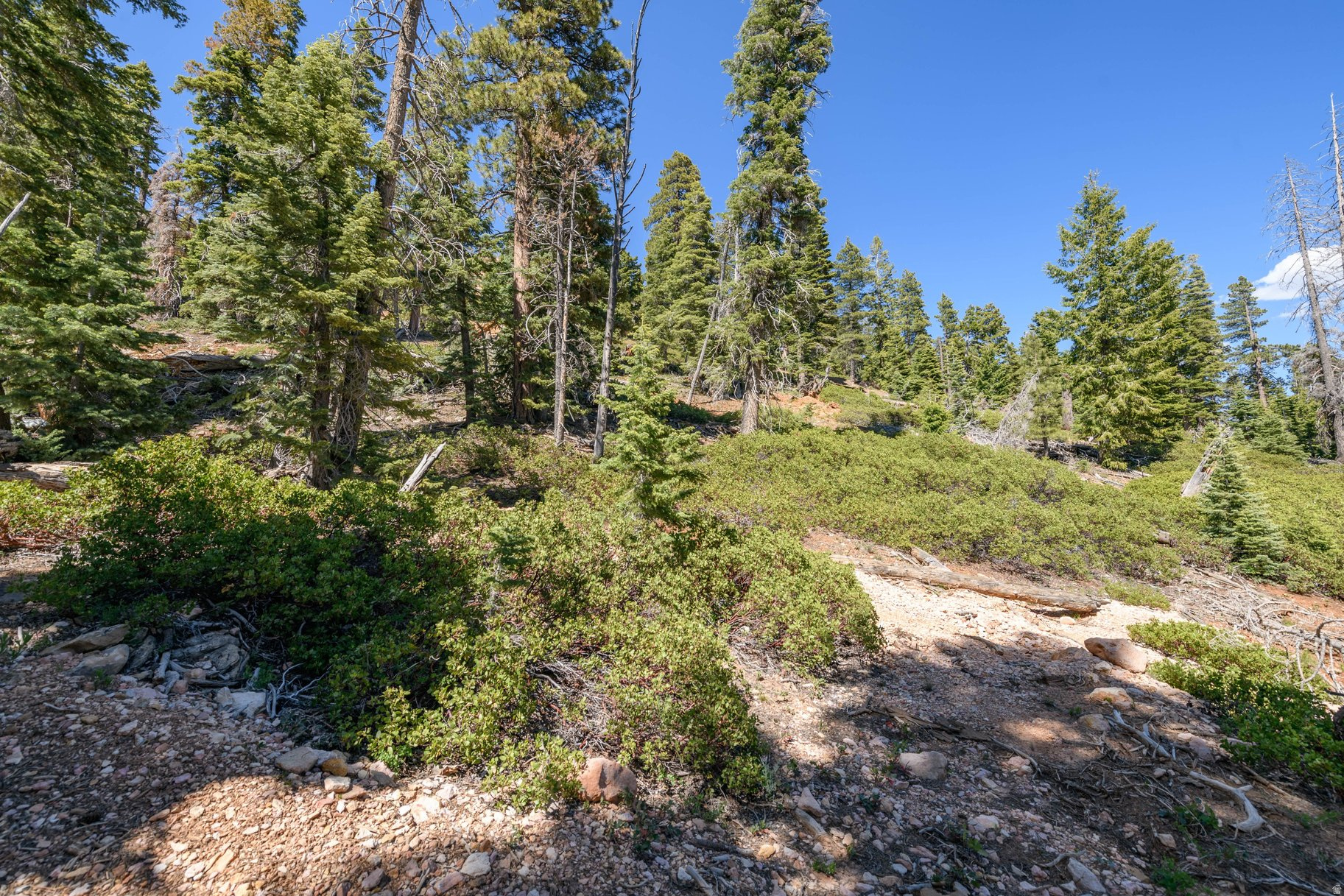 main property photo 70