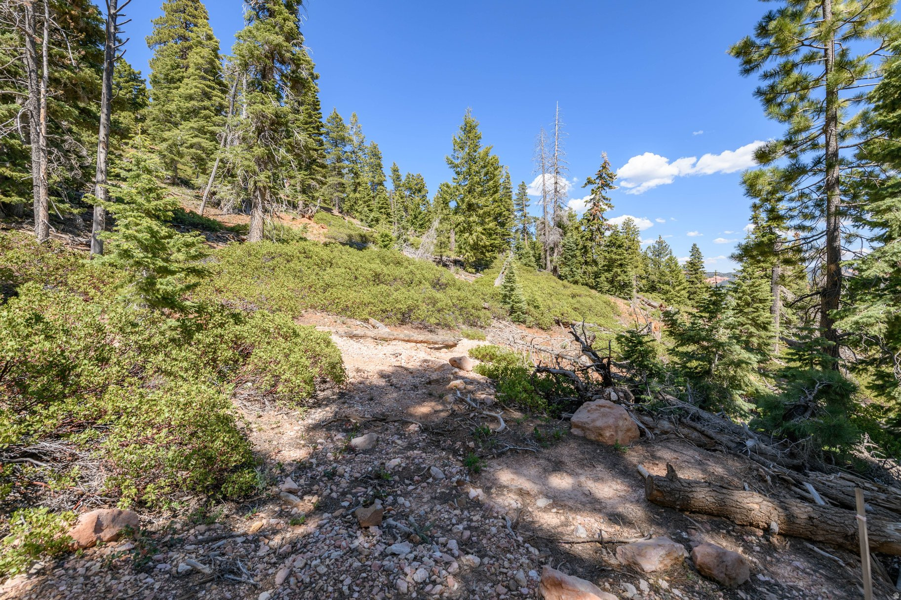 main property photo 71