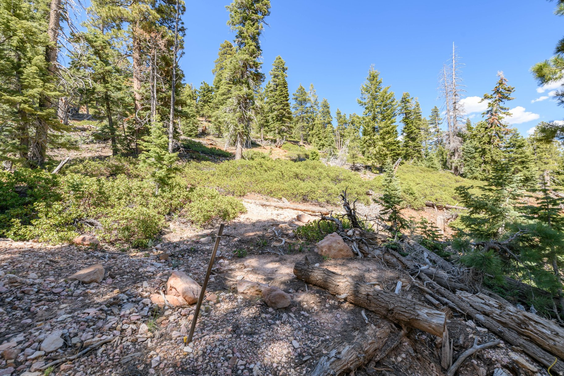 main property photo 72