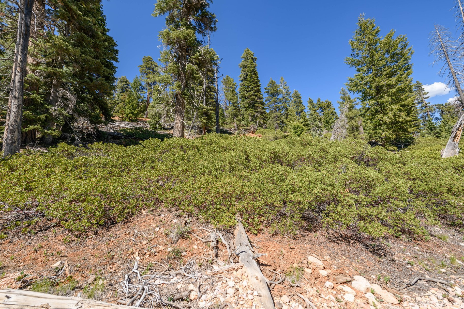 main property photo 73