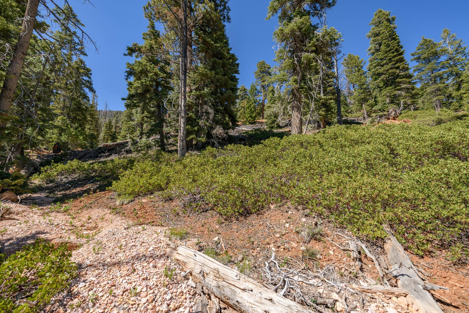 main property photo 74