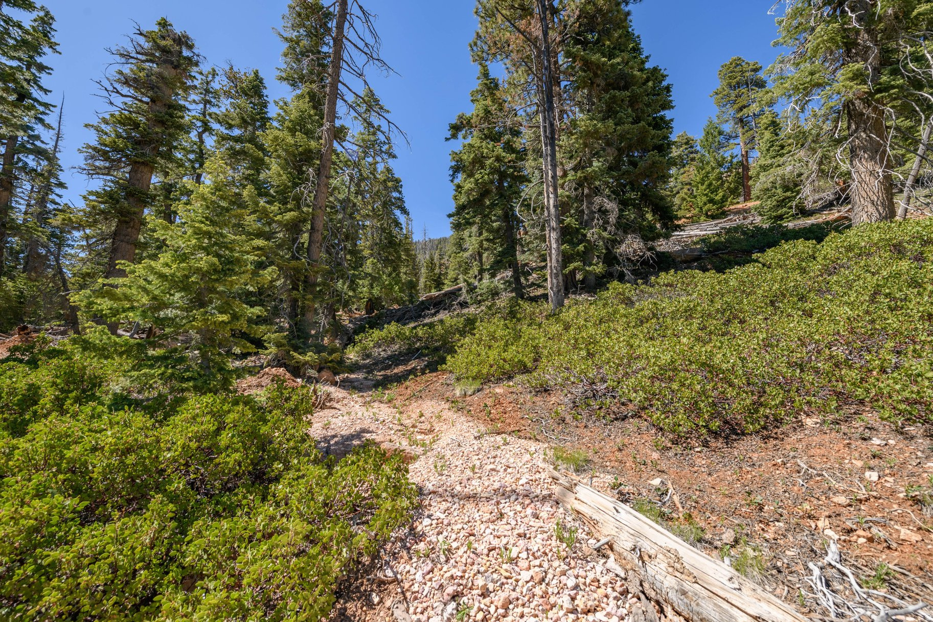 main property photo 75