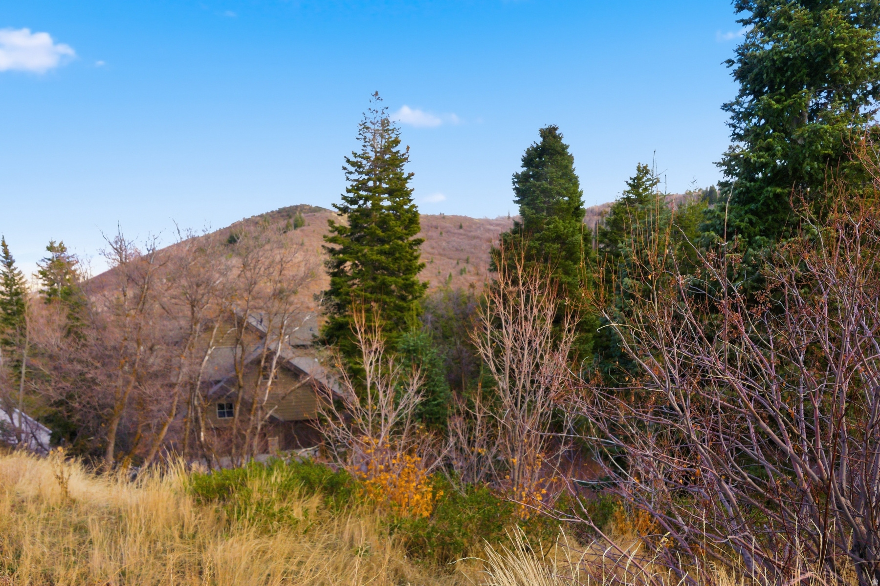 main property photo 12