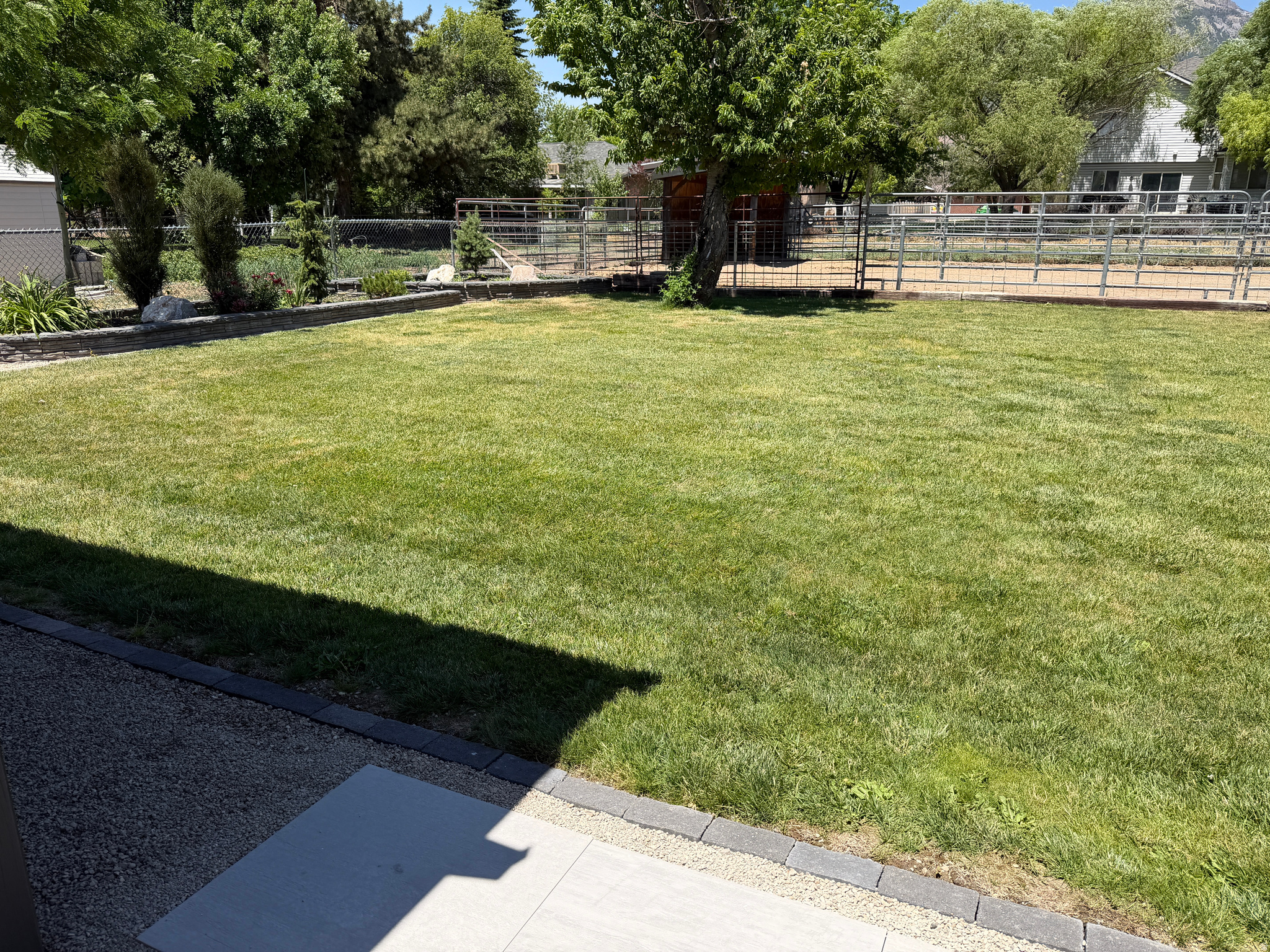 main property photo 54