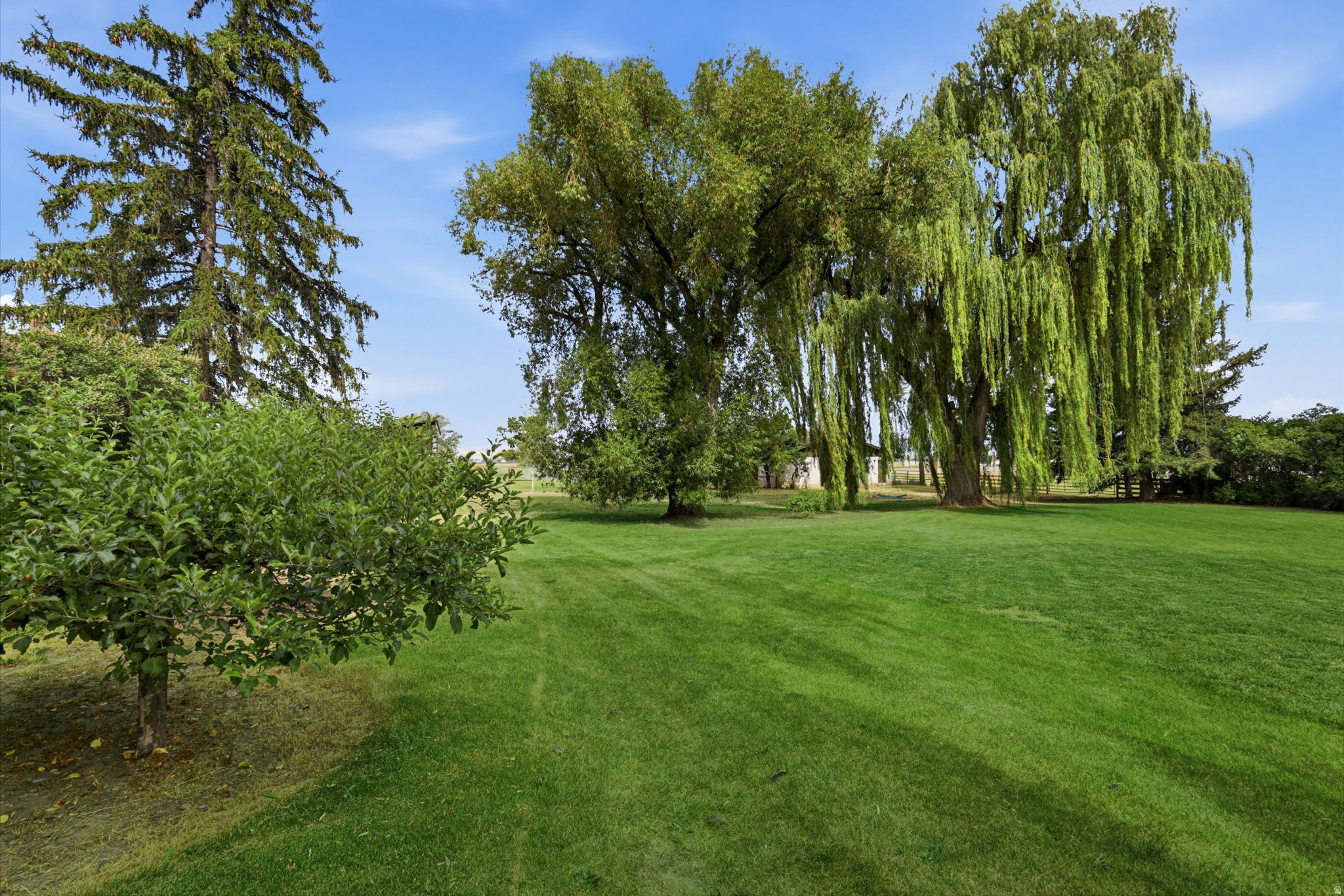 main property photo 55