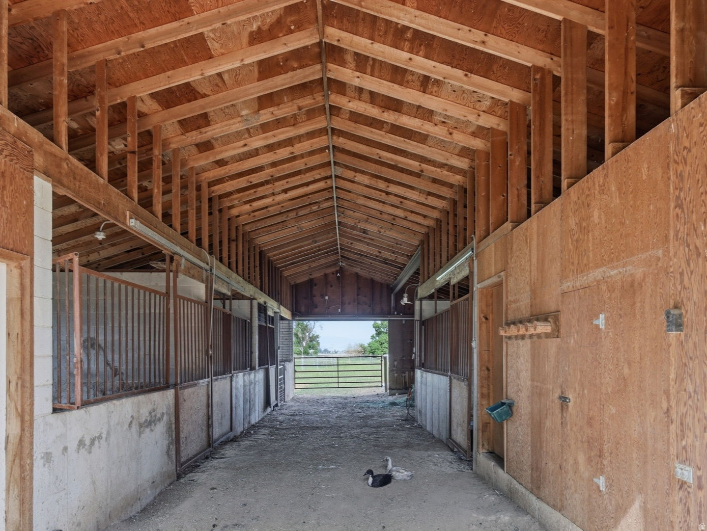 main property photo 59