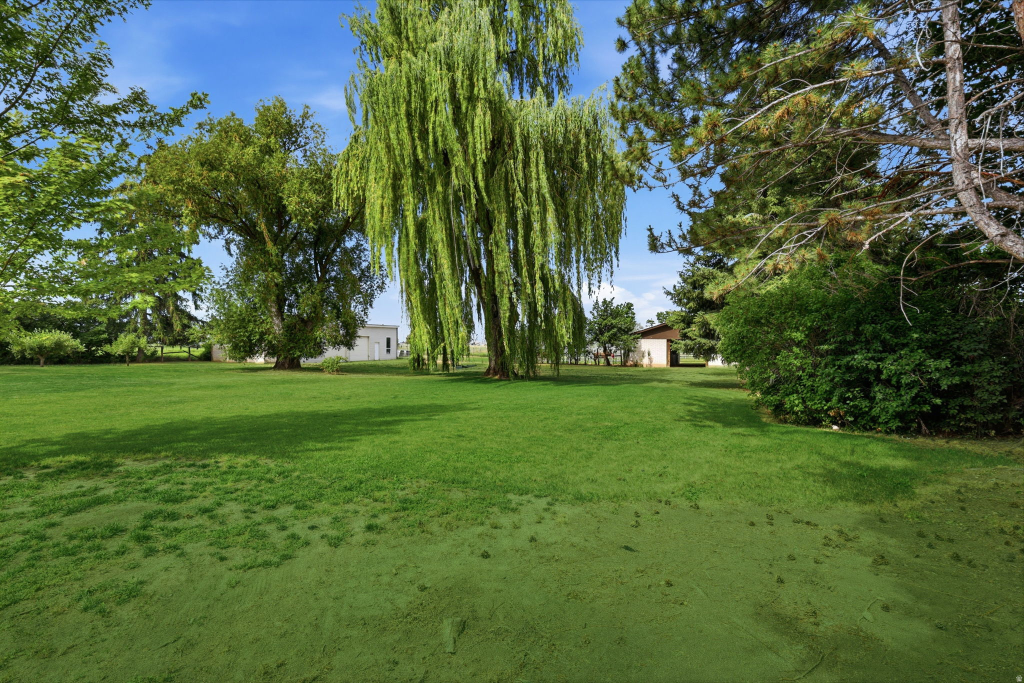 main property photo 67