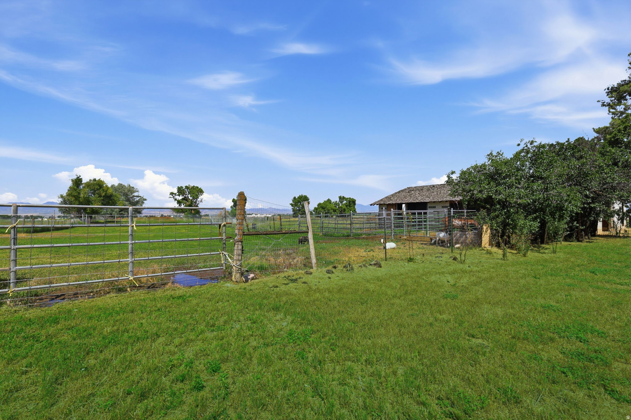 main property photo 69