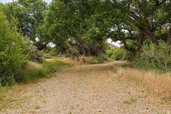 main property photo 59