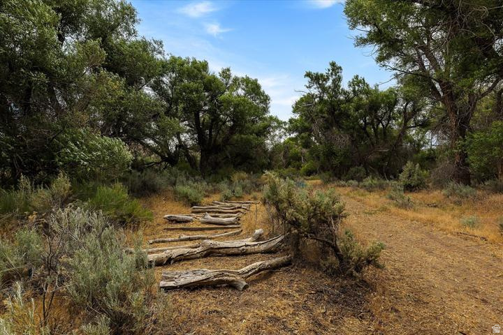 main property photo 62