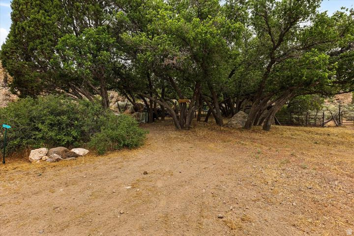 main property photo 66