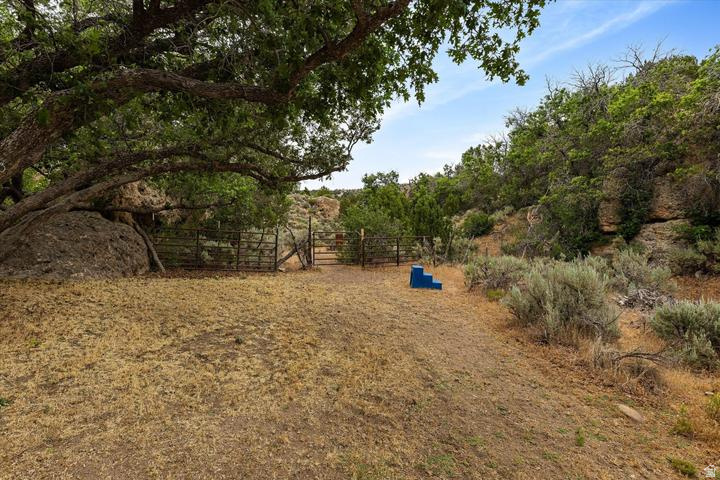 main property photo 67