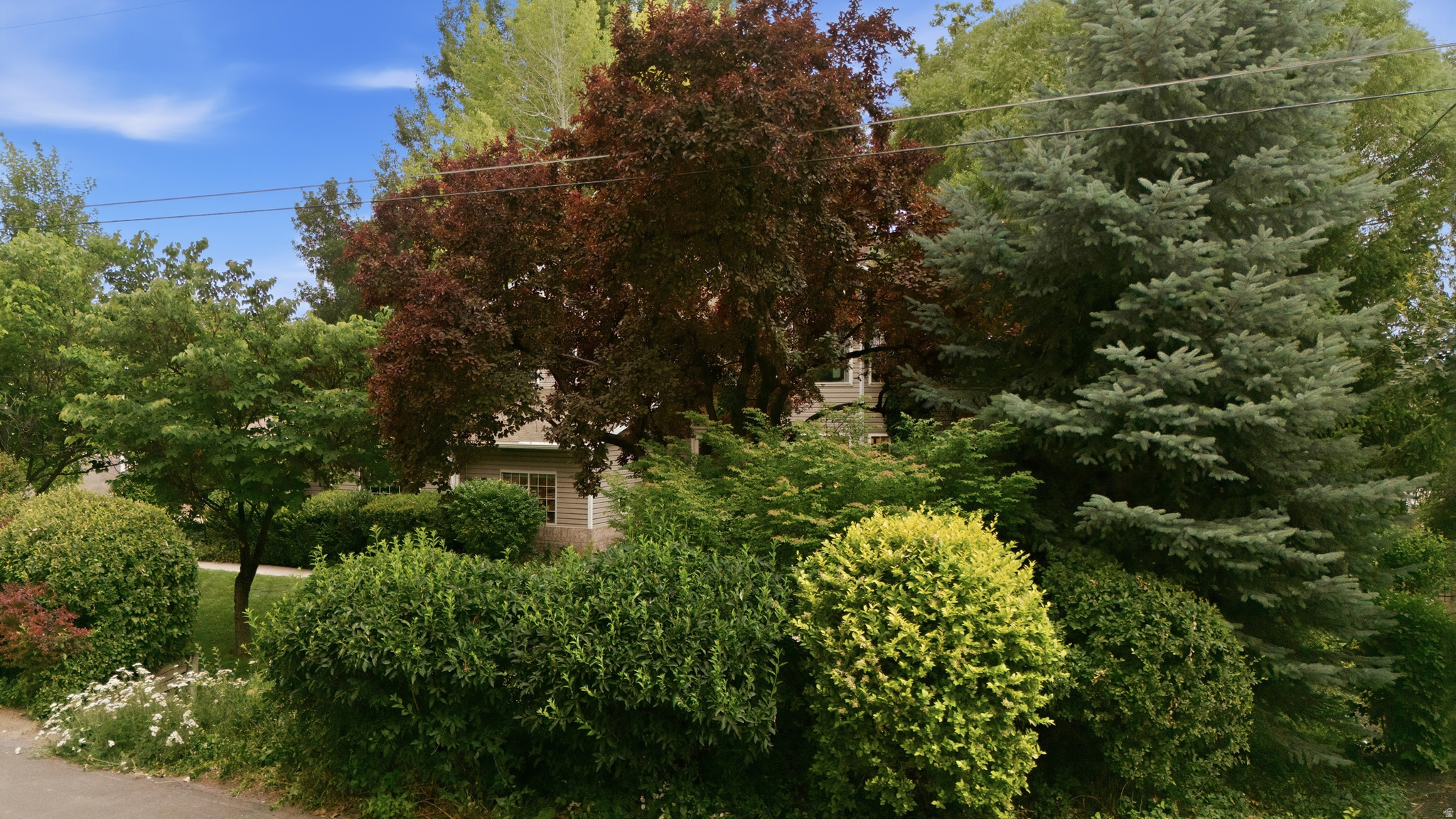 main property photo 38