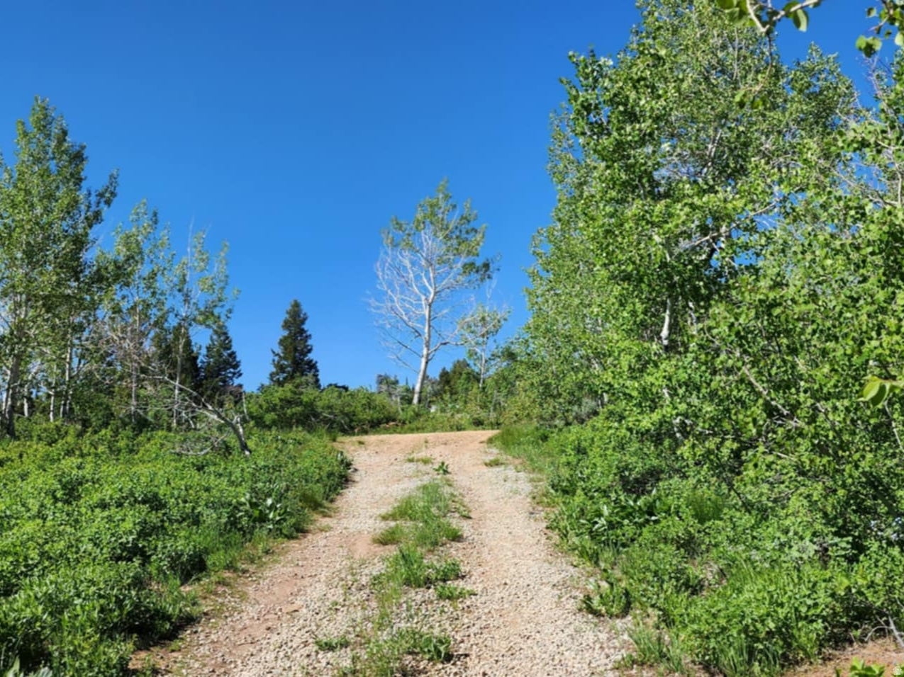 main property photo 12