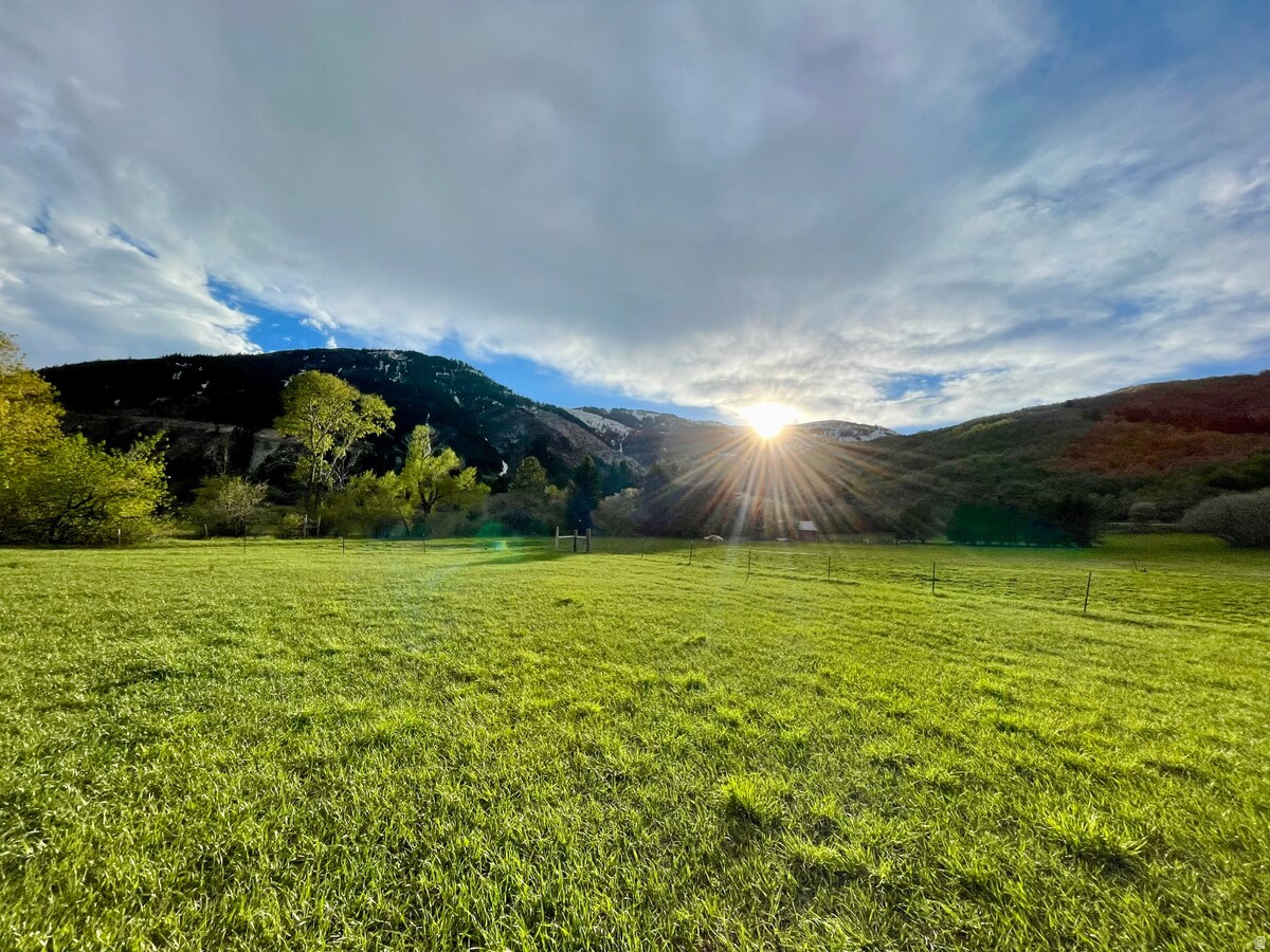 main property photo 67