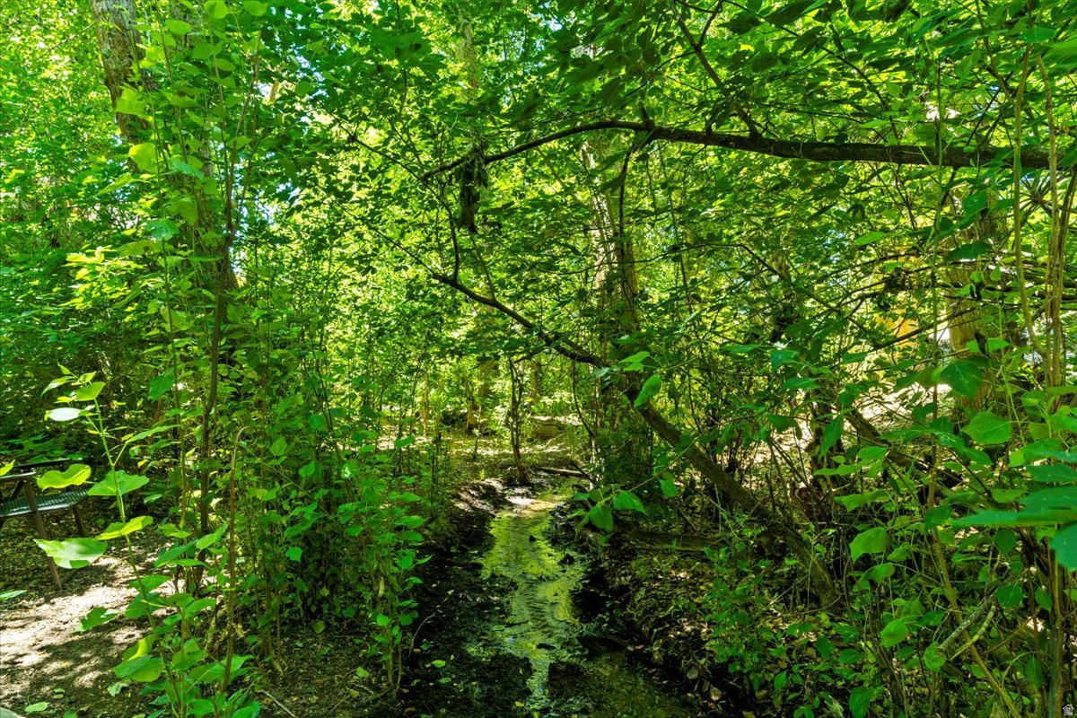 main property photo 82