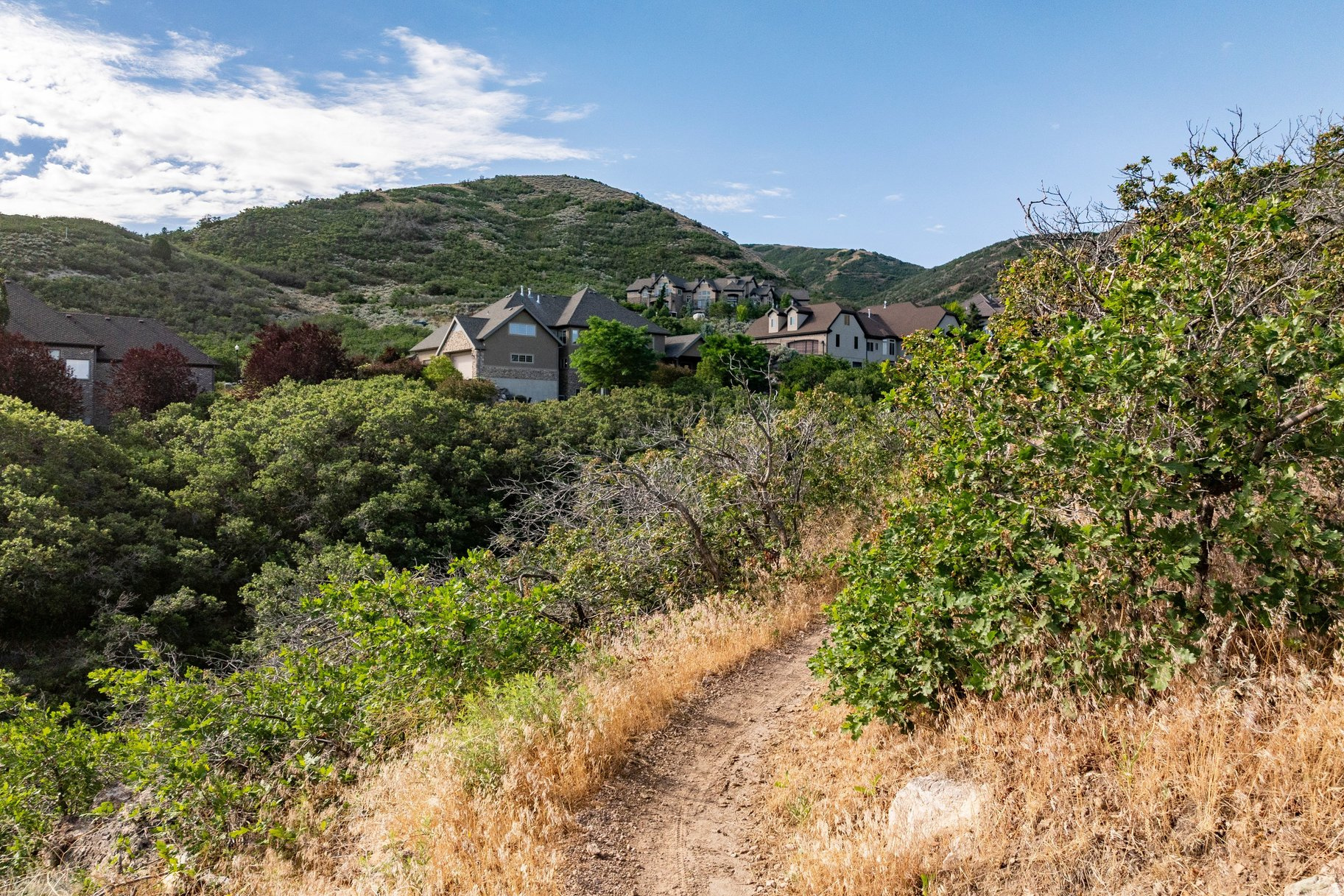 main property photo 78
