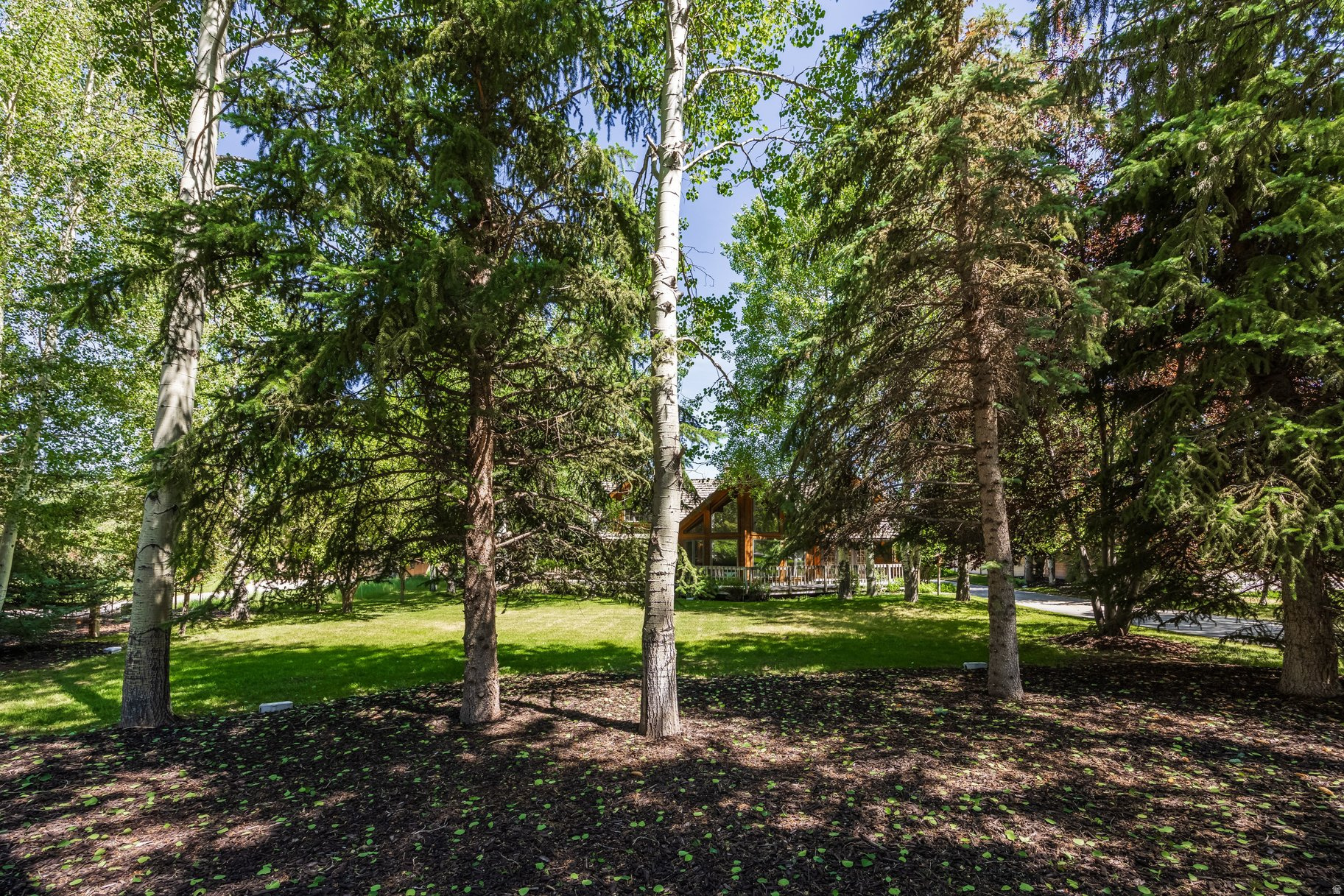 main property photo 74