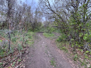 main property photo 15