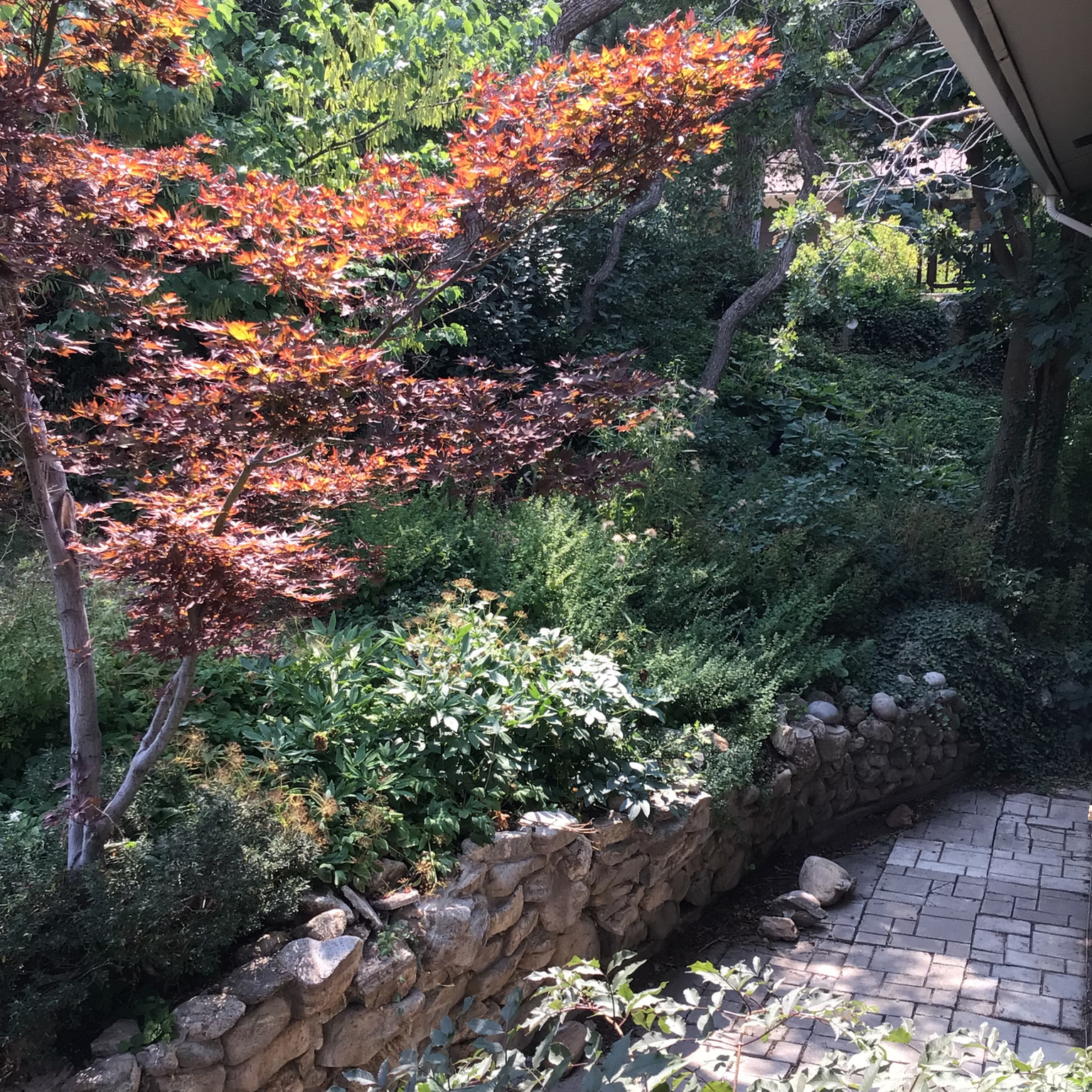 main property photo 34