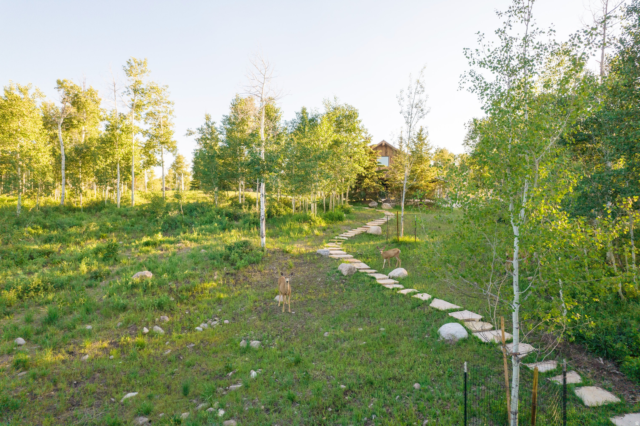 main property photo 75