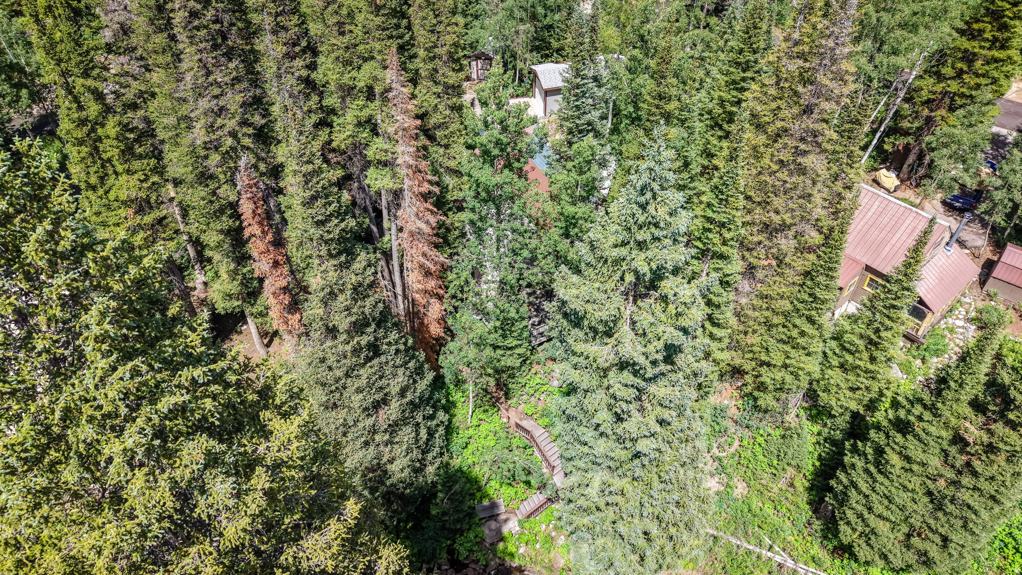 main property photo 50