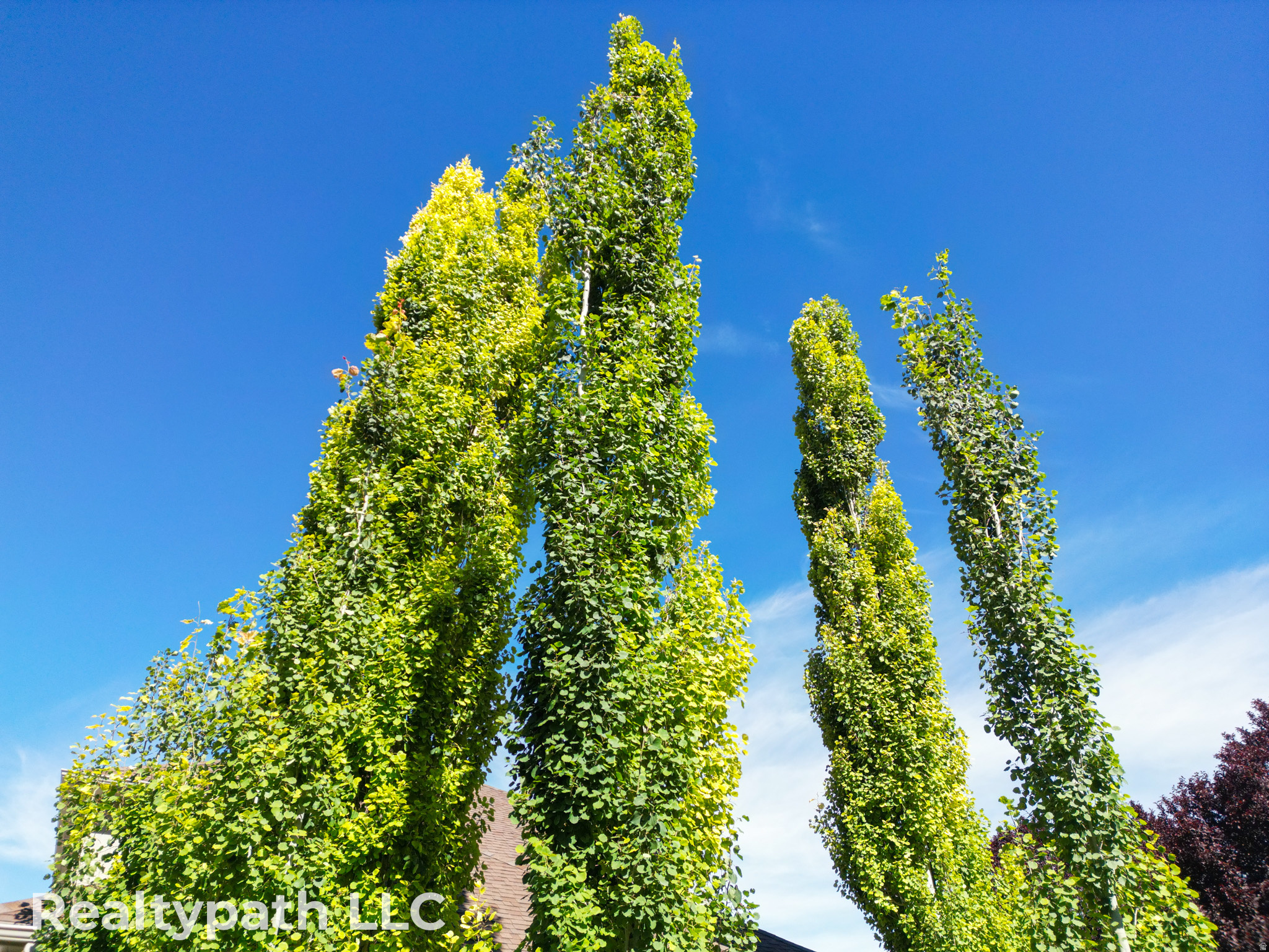 main property photo 78